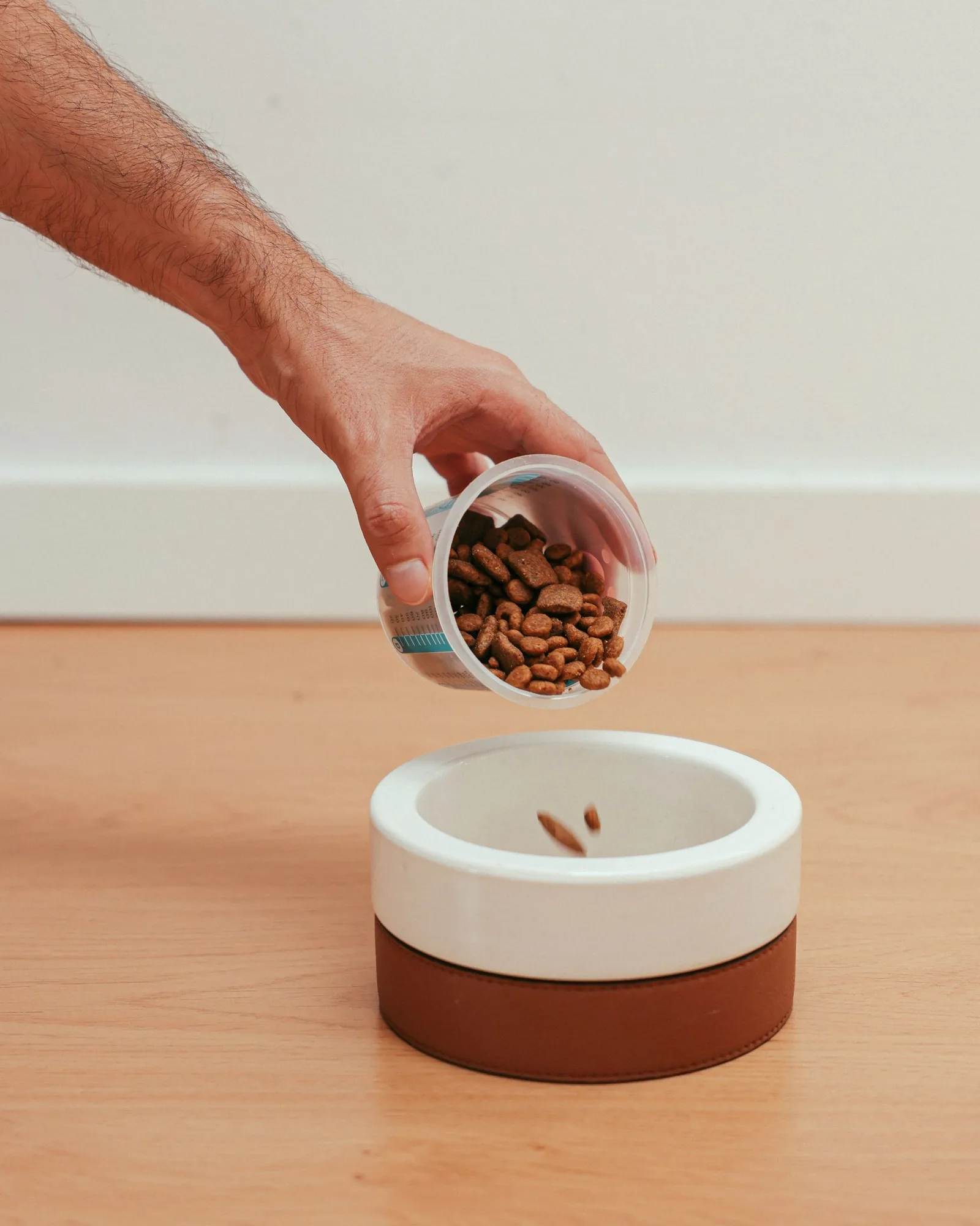 Food poured into the bowl