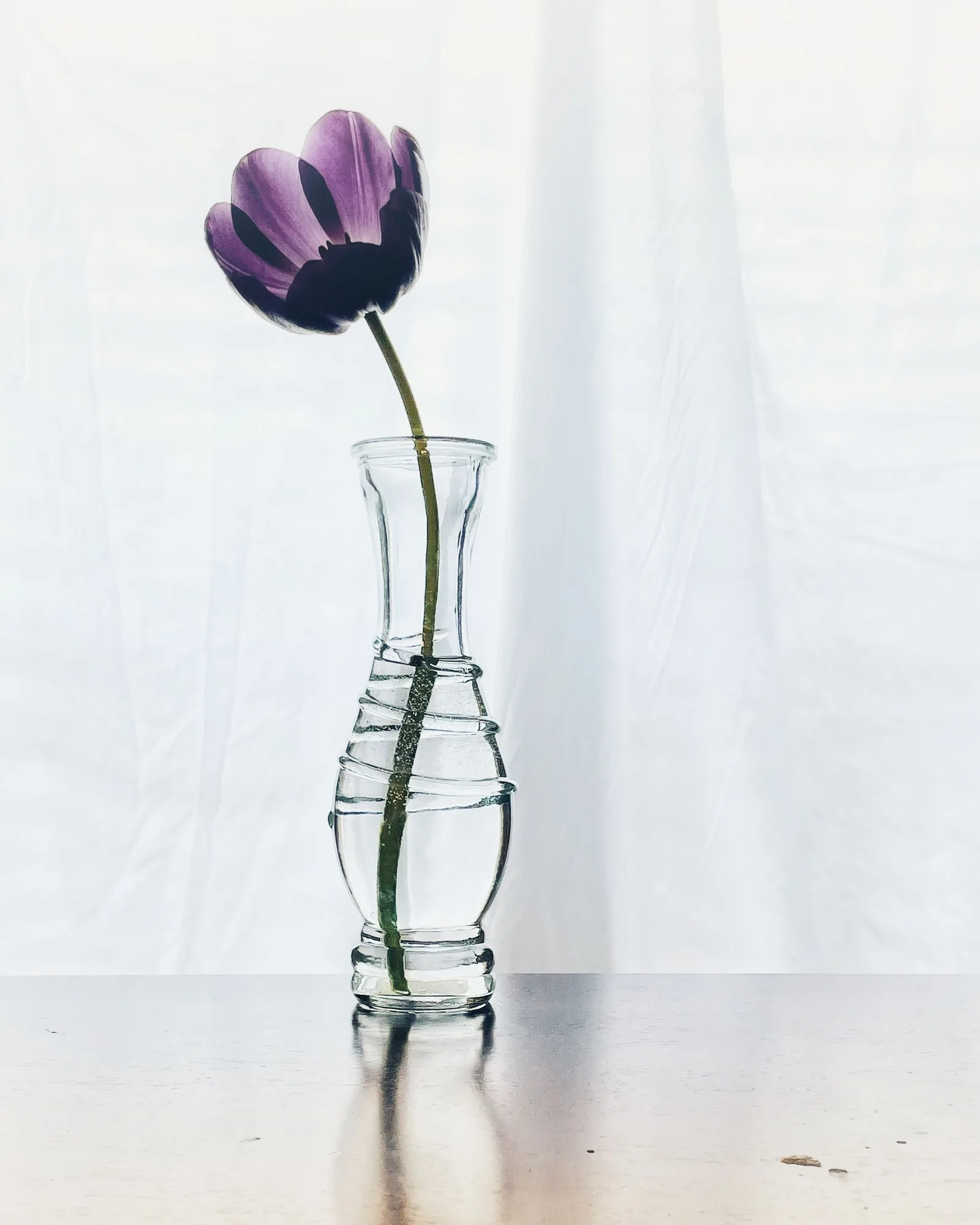 clear bud vase