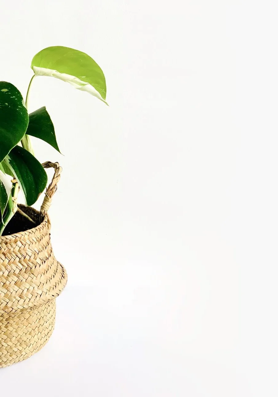 woven basket