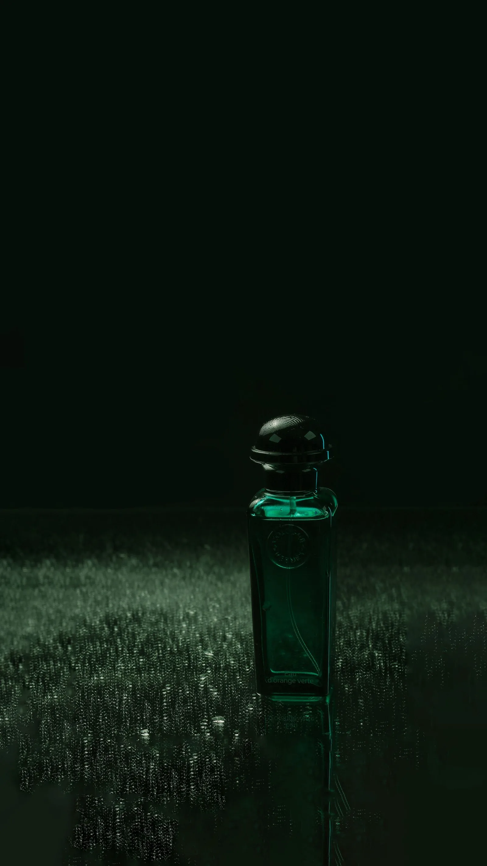 vetiver-nuit