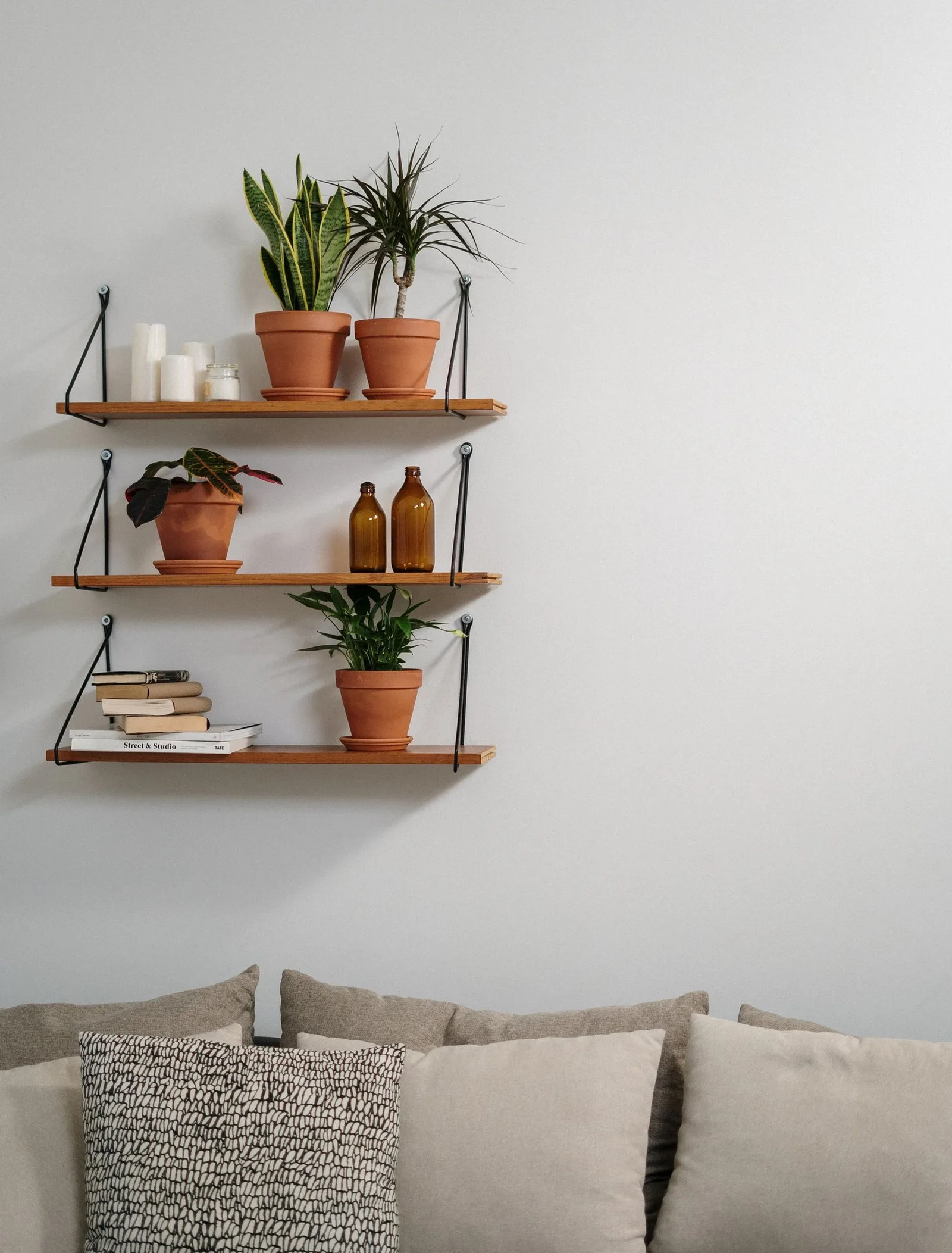 Plants on wooden wall shelves over a sofa