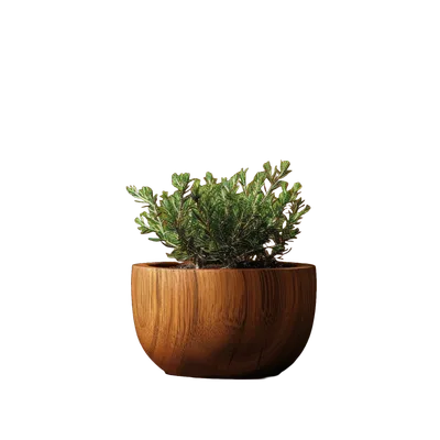 Planters
