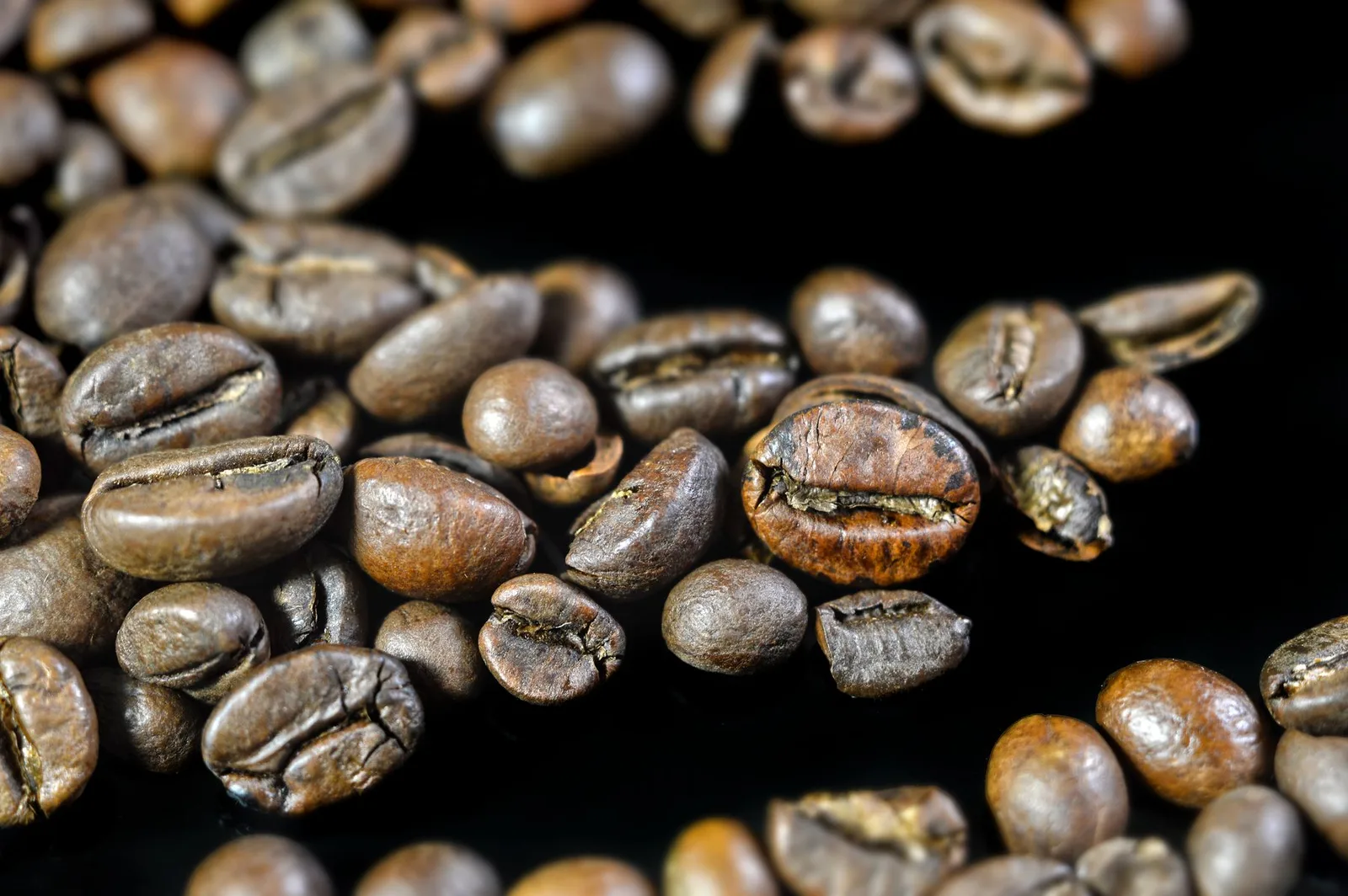espresso forte