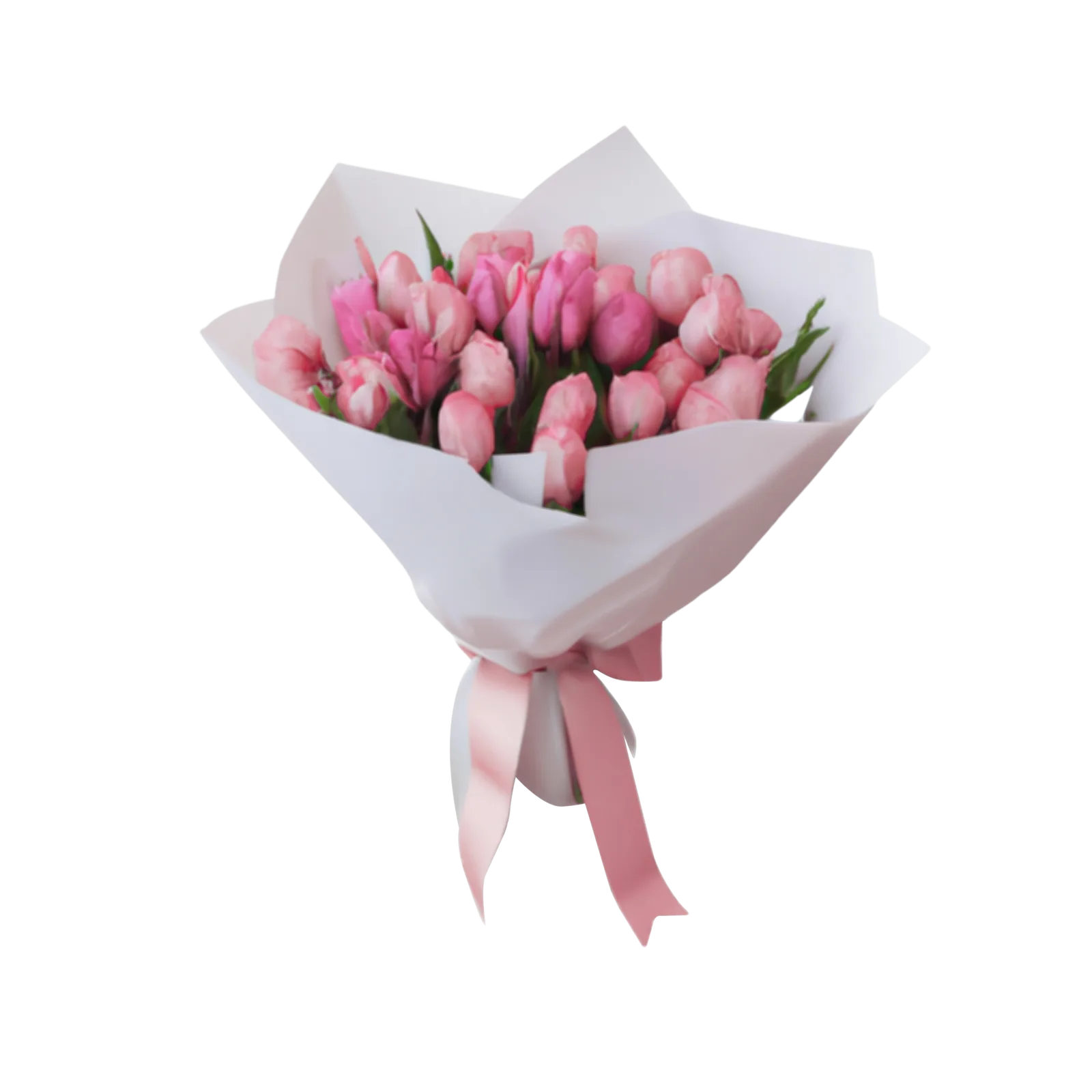 dozen-of-tulips