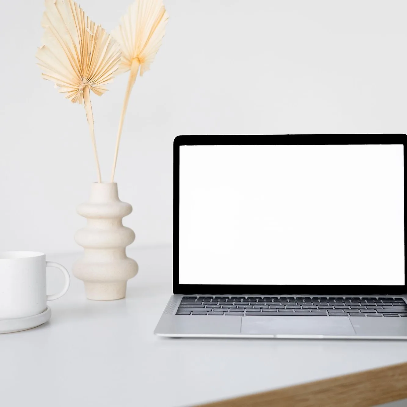 slim laptop