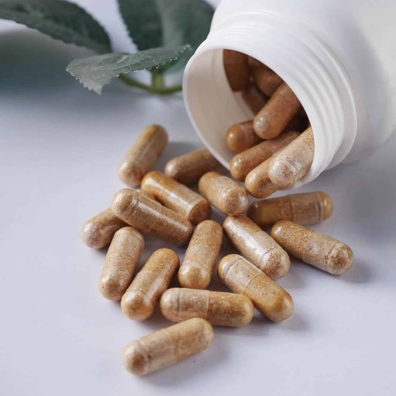 Capsules spilling from a white bottle with leaves