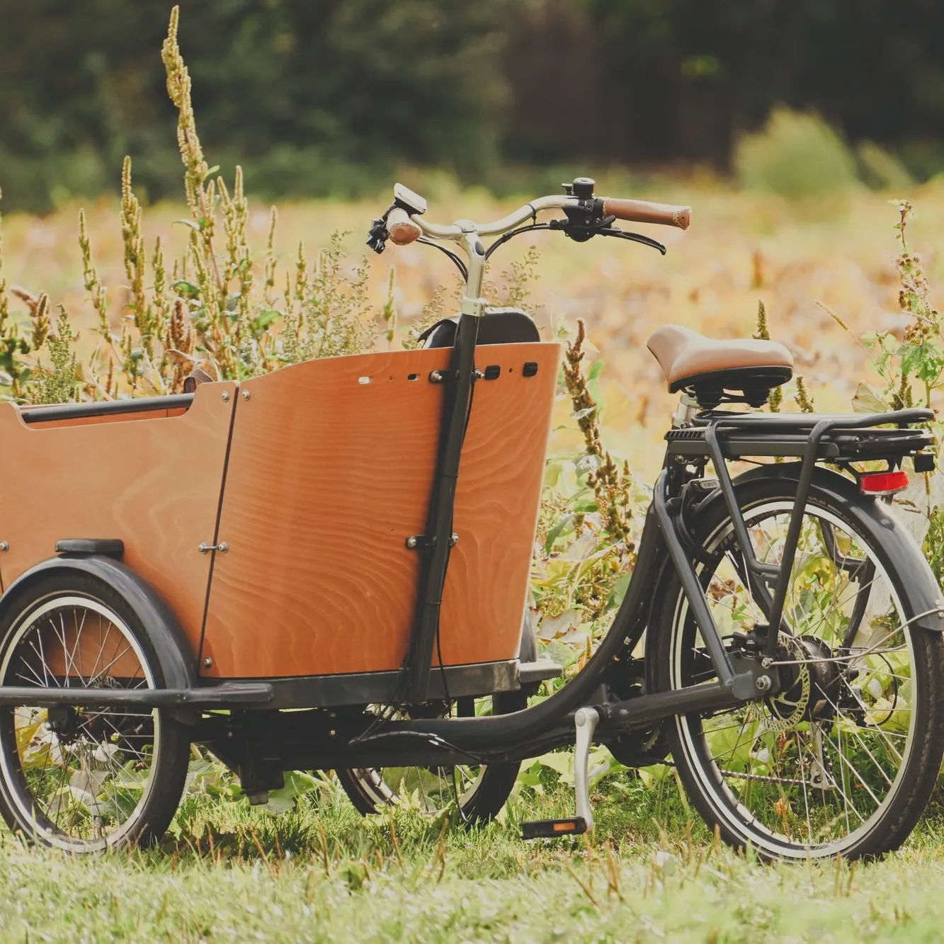 Cargo bike with a wooden box in a meadow