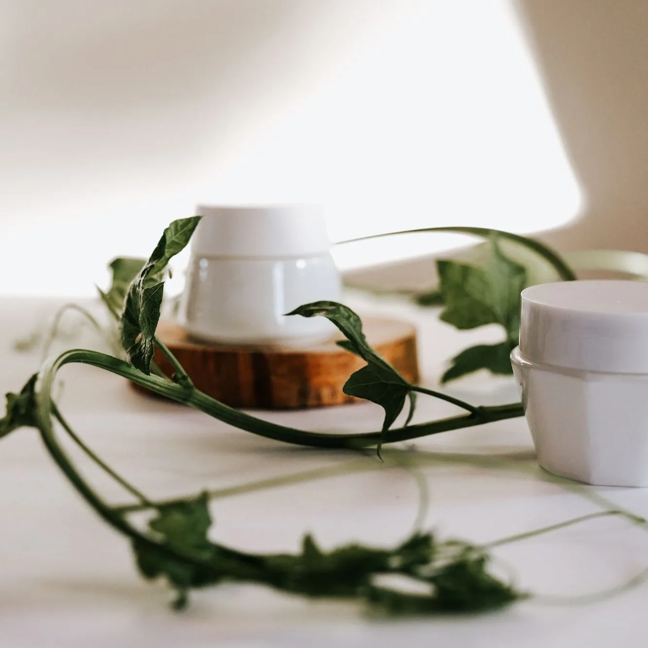 green tea moisturiser