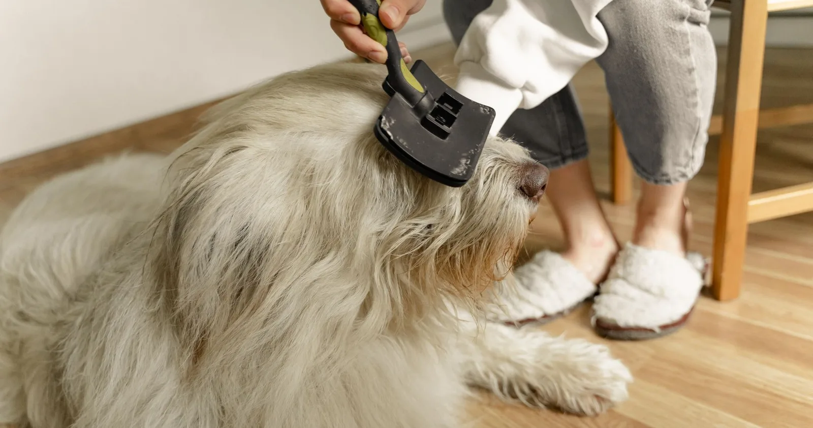 Grooming & accessories