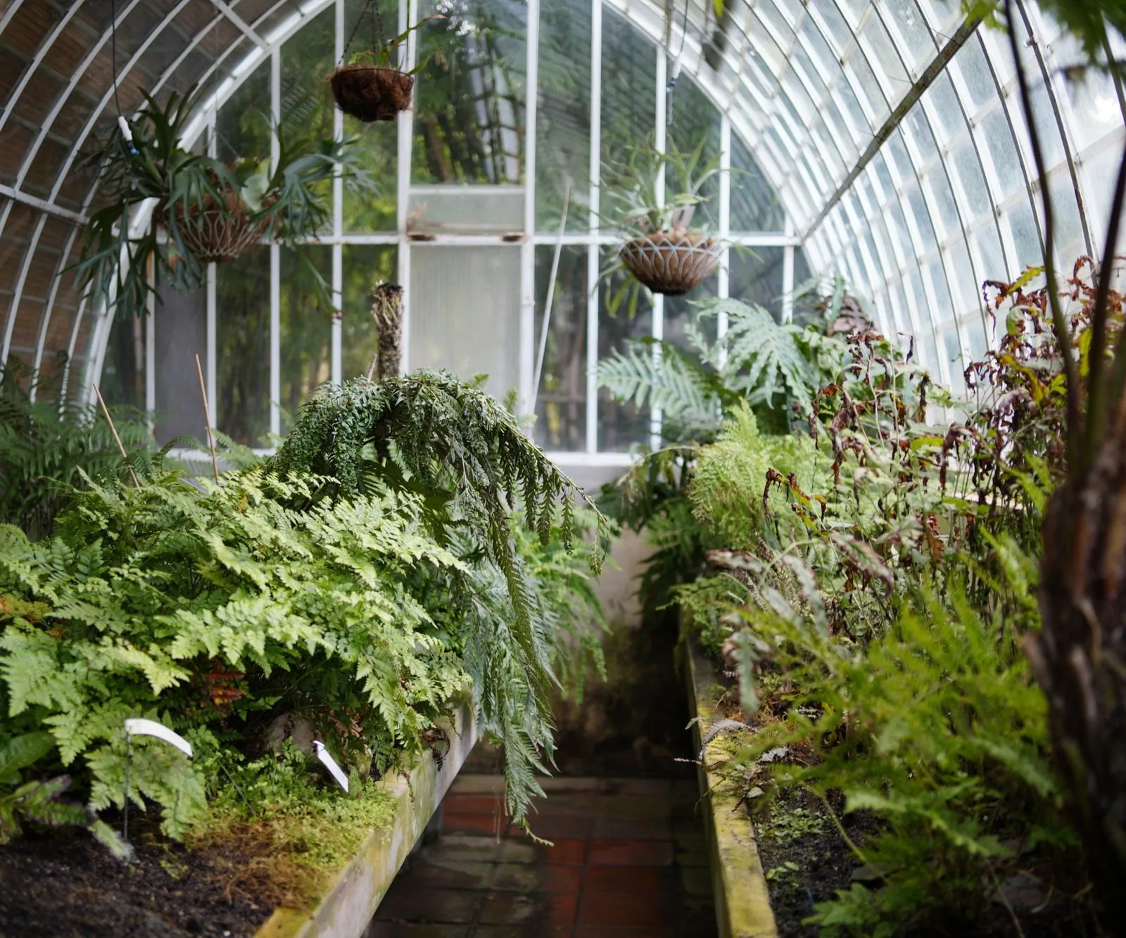 A real nursery