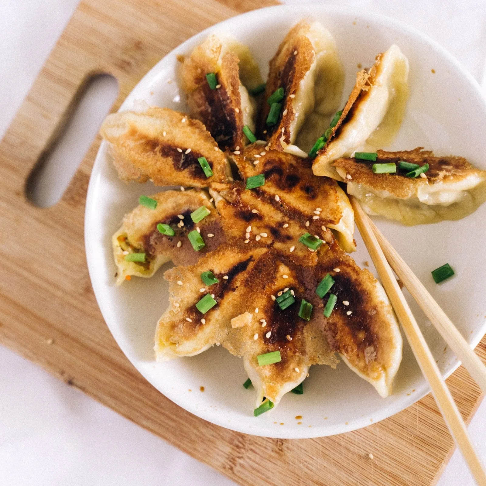 pan fried dumplings