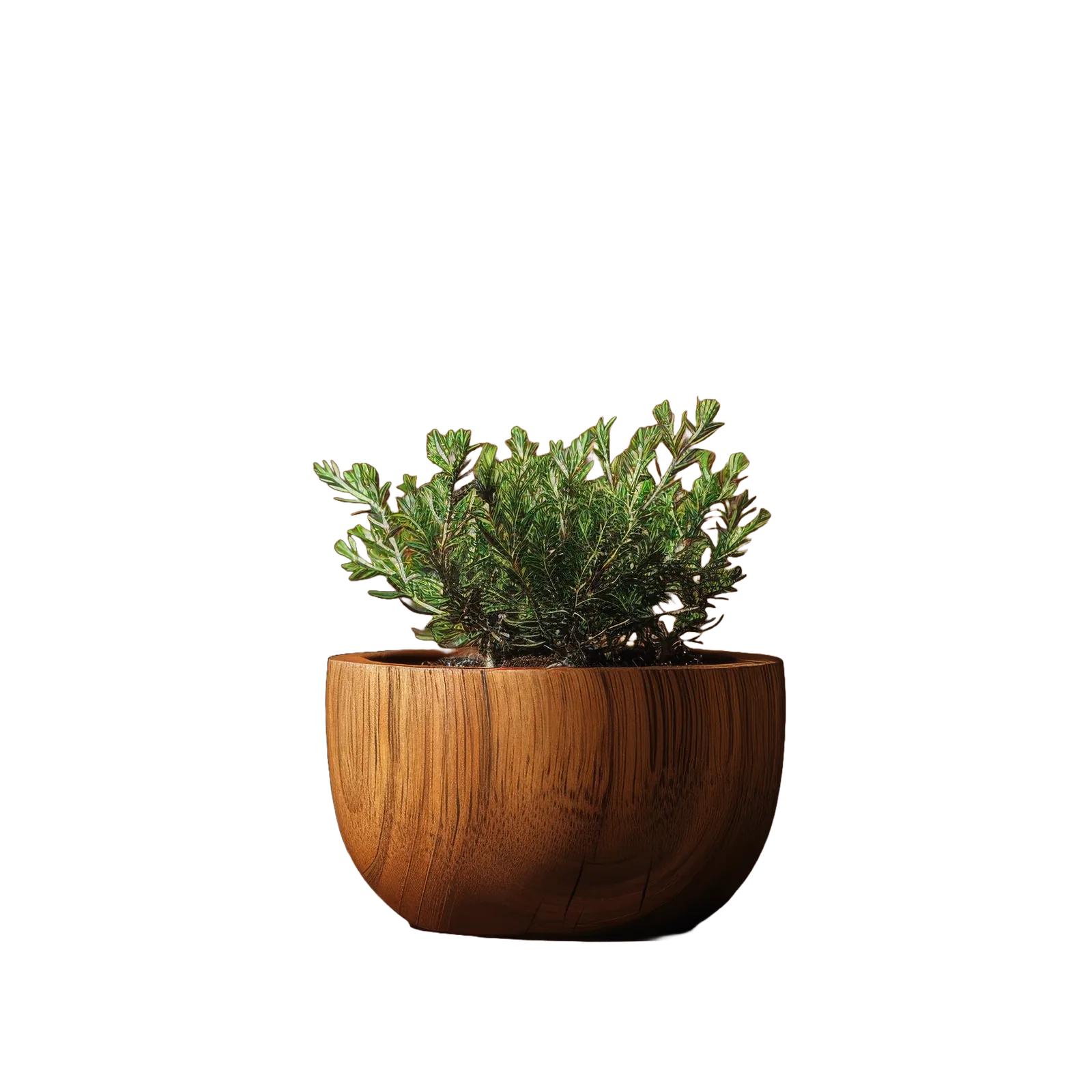 terracotta-planter