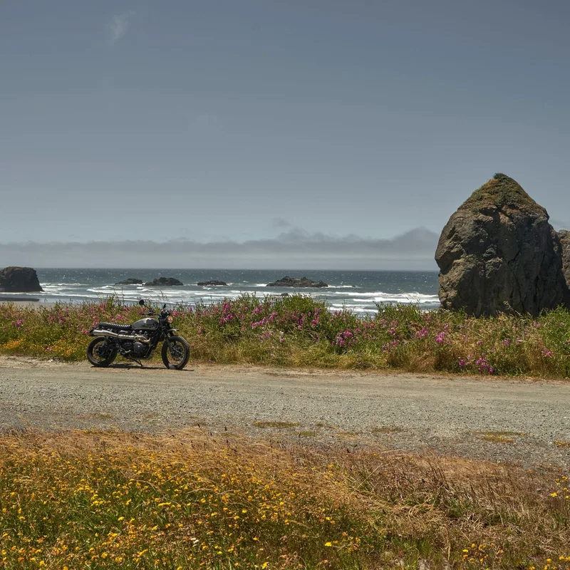 Coast road