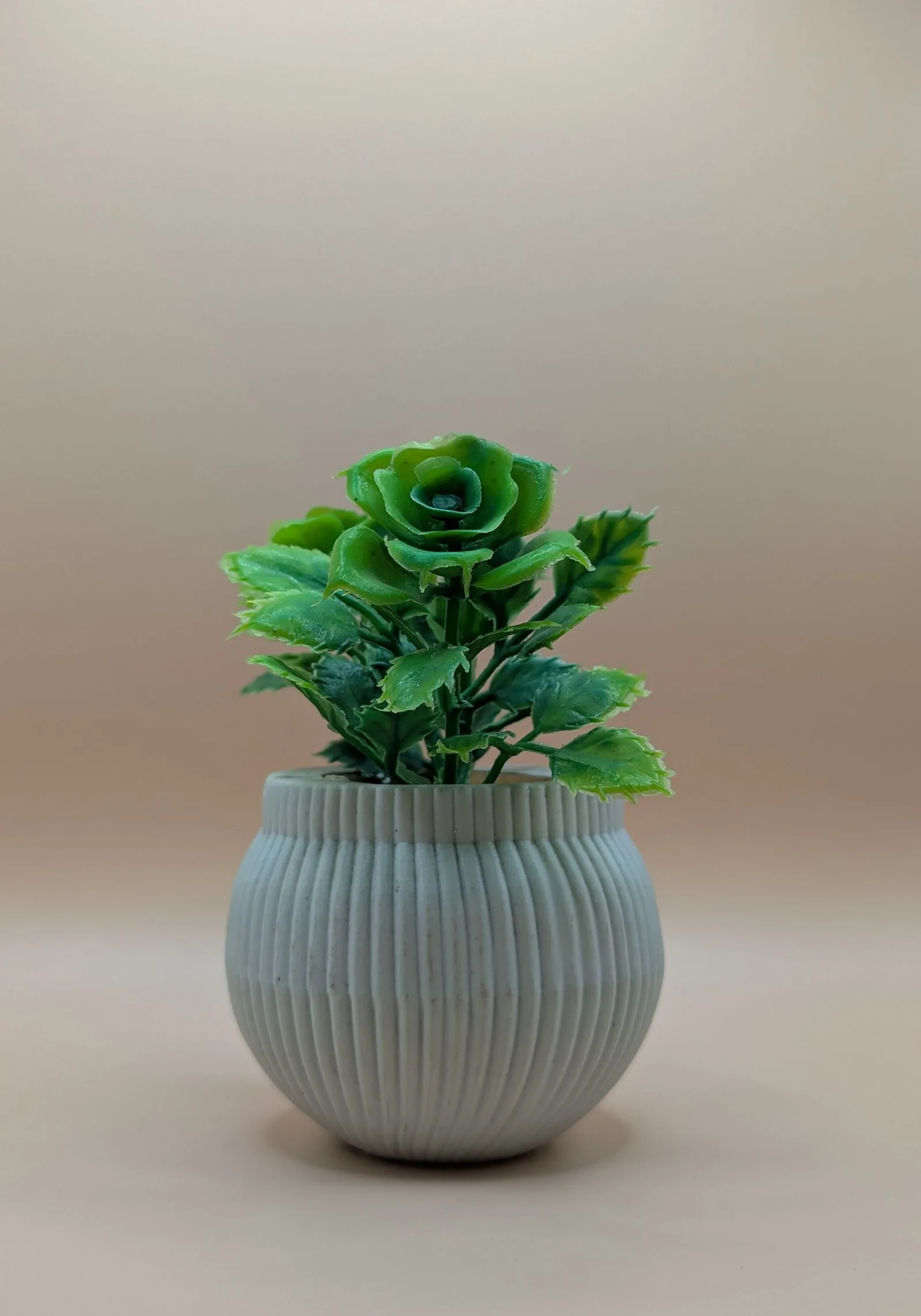 ceramic planter