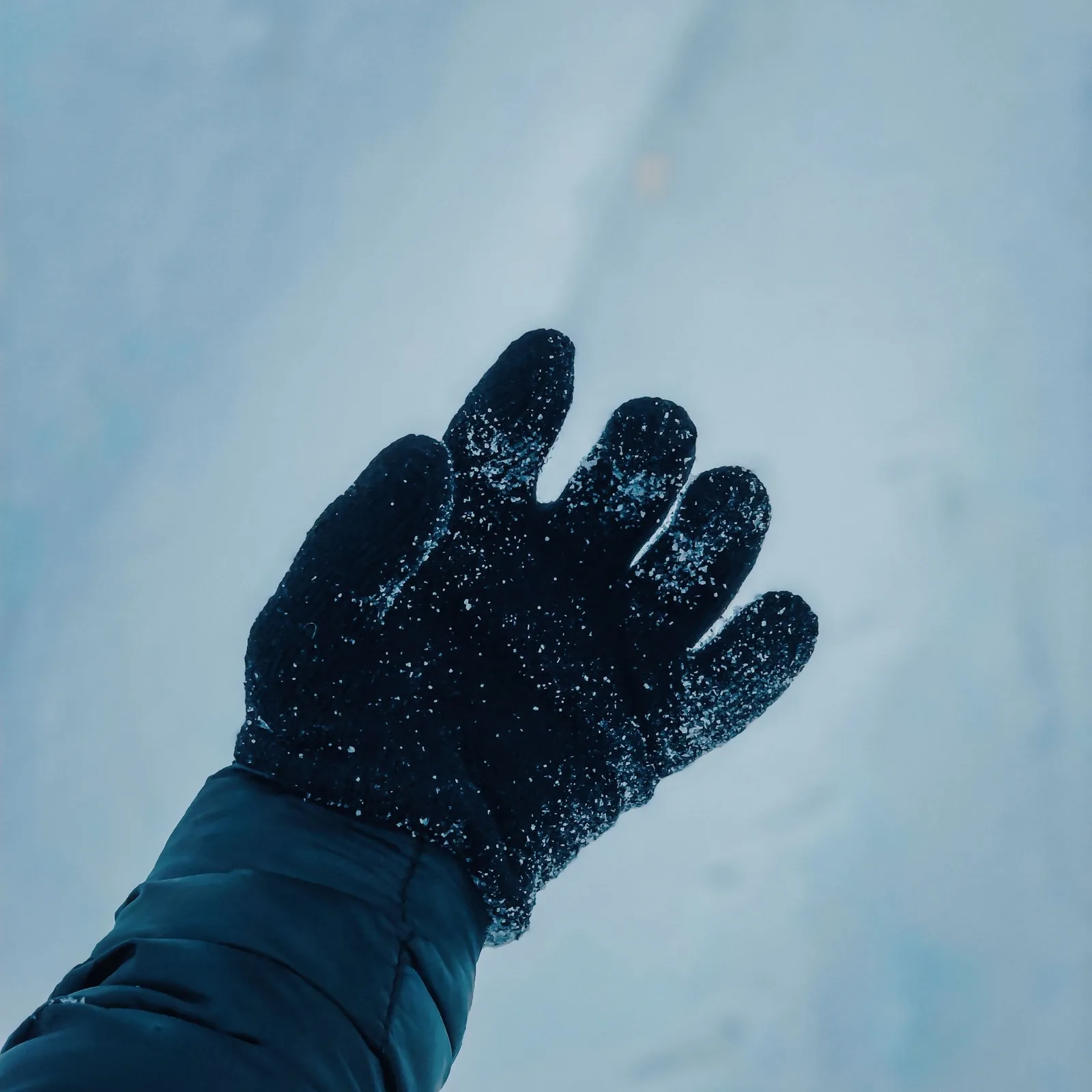 winter gauntlets