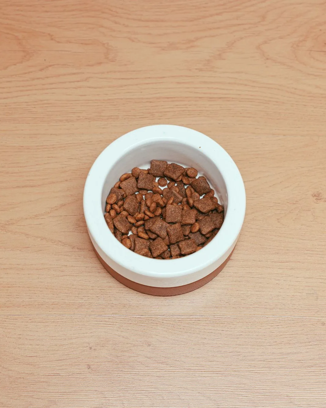 Food in a white bowl