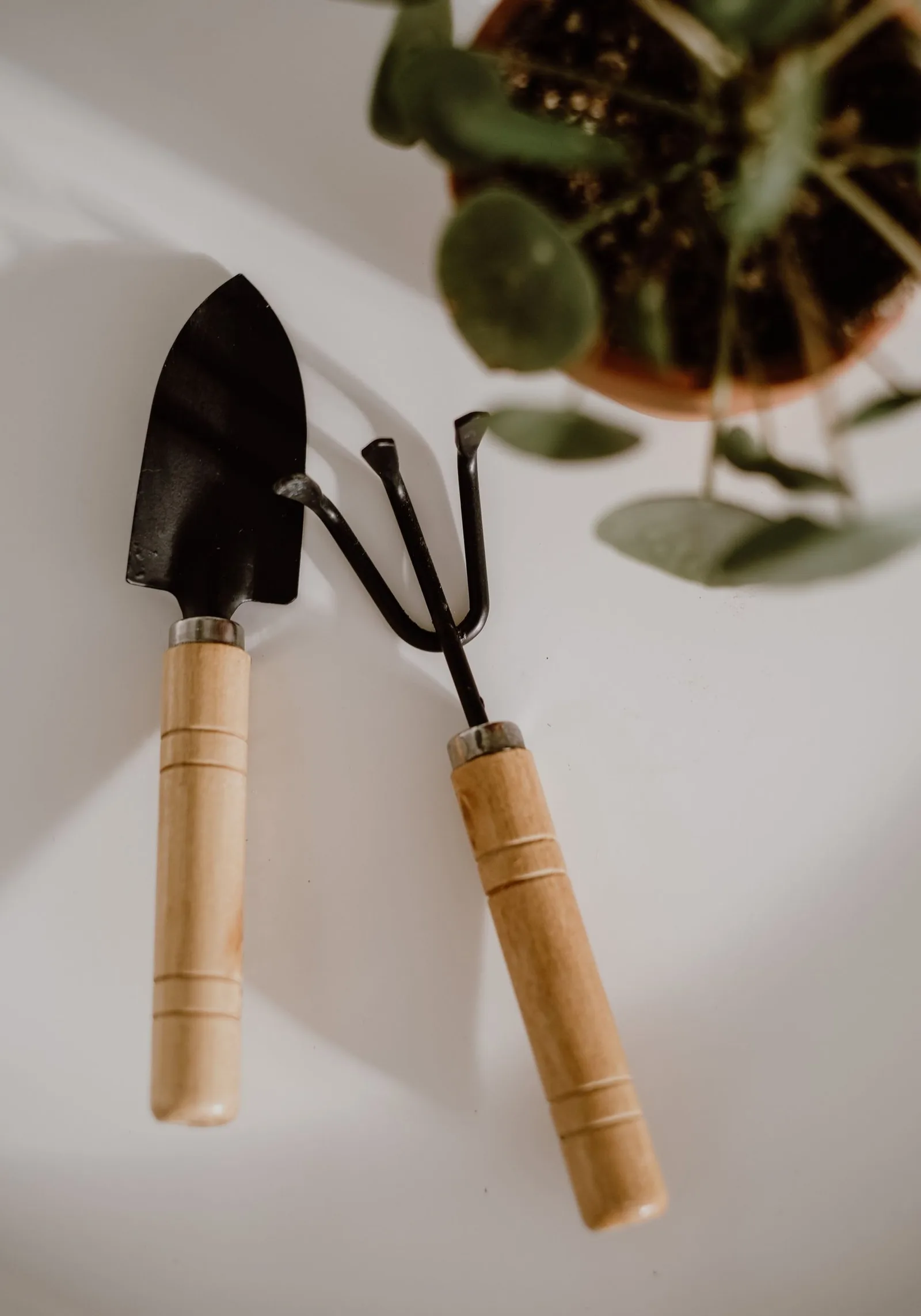 hand trowel