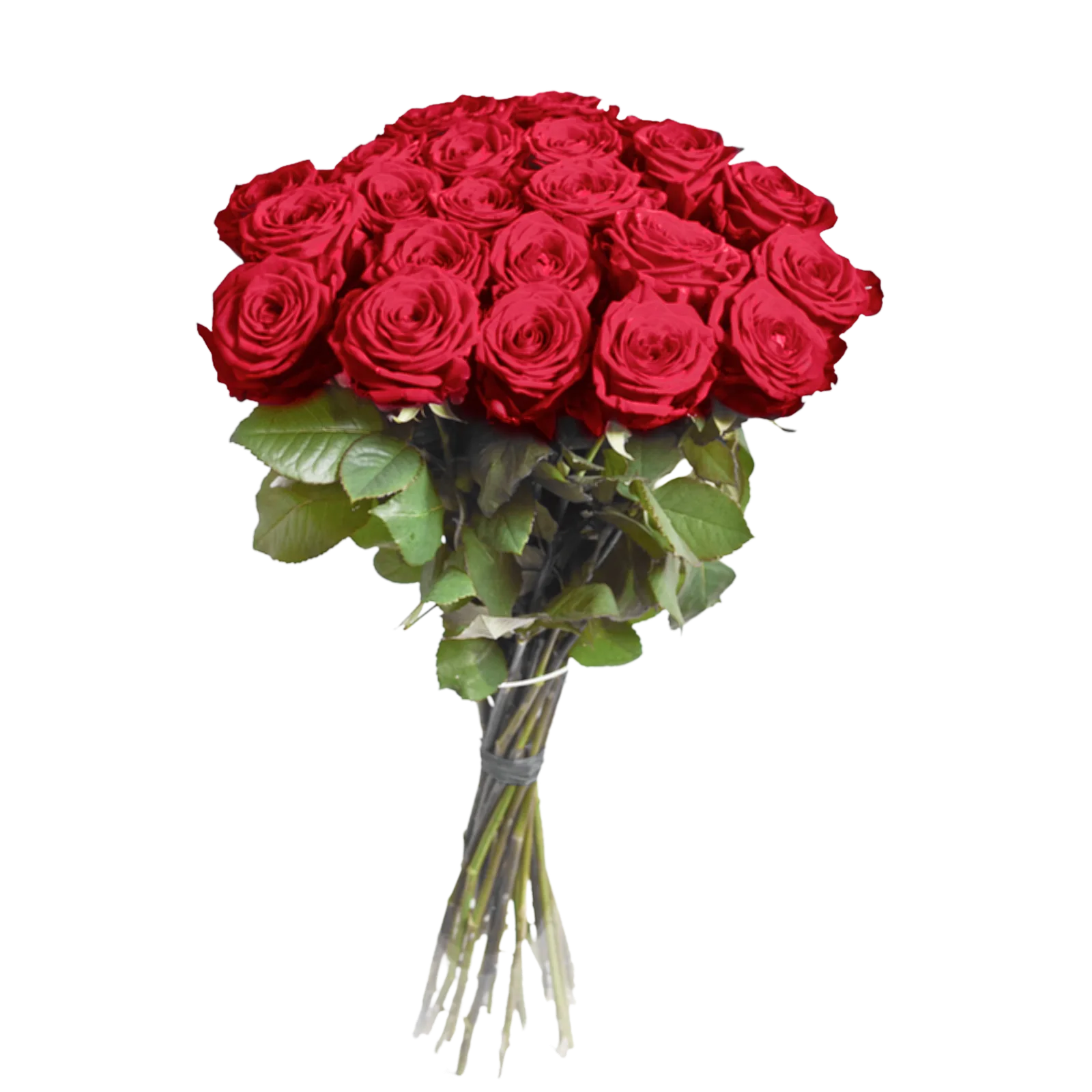 red-roses-bouquet
