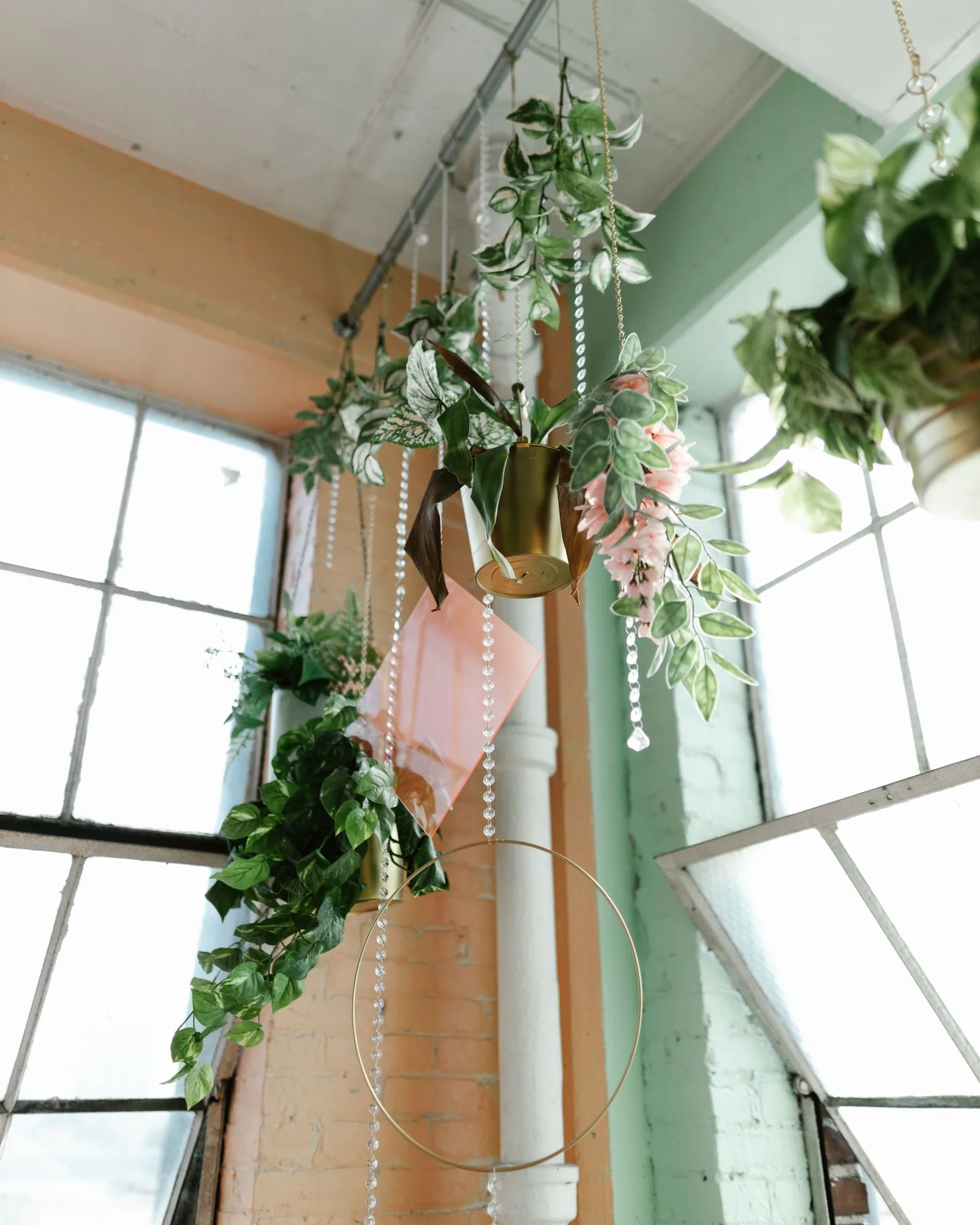 Hanging greens
