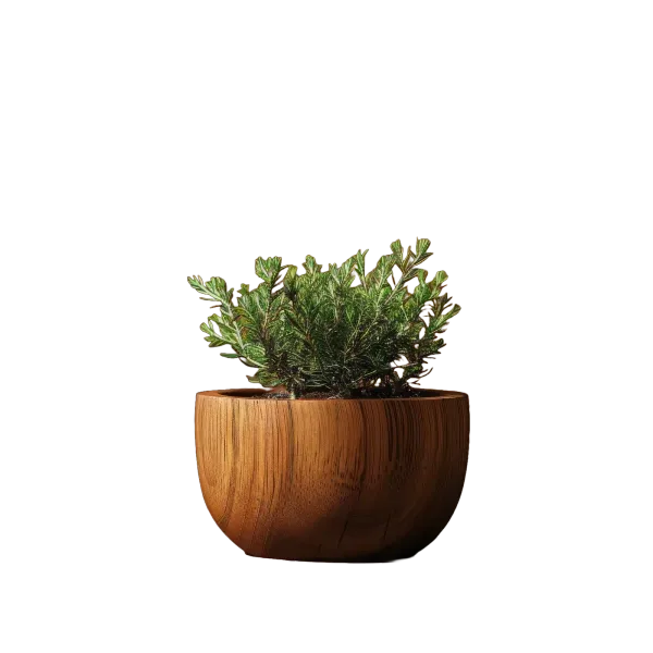 Planters