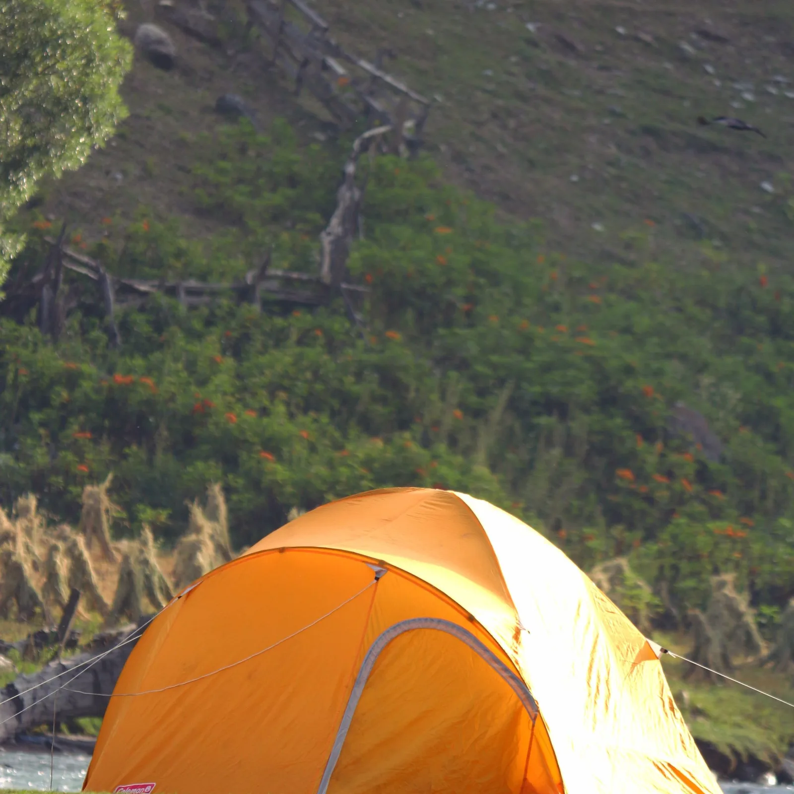 trail tent