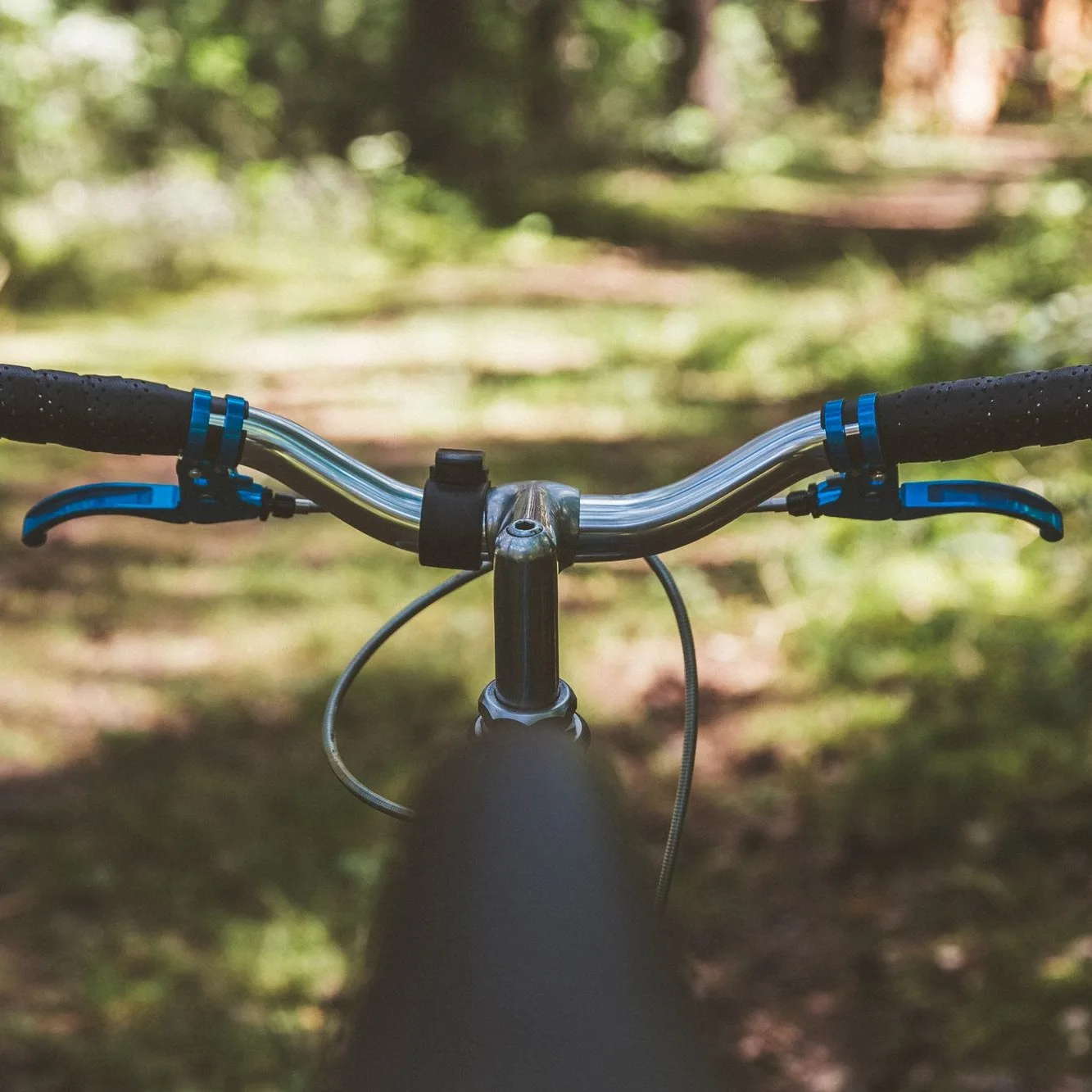 Handlebar on a forest trail