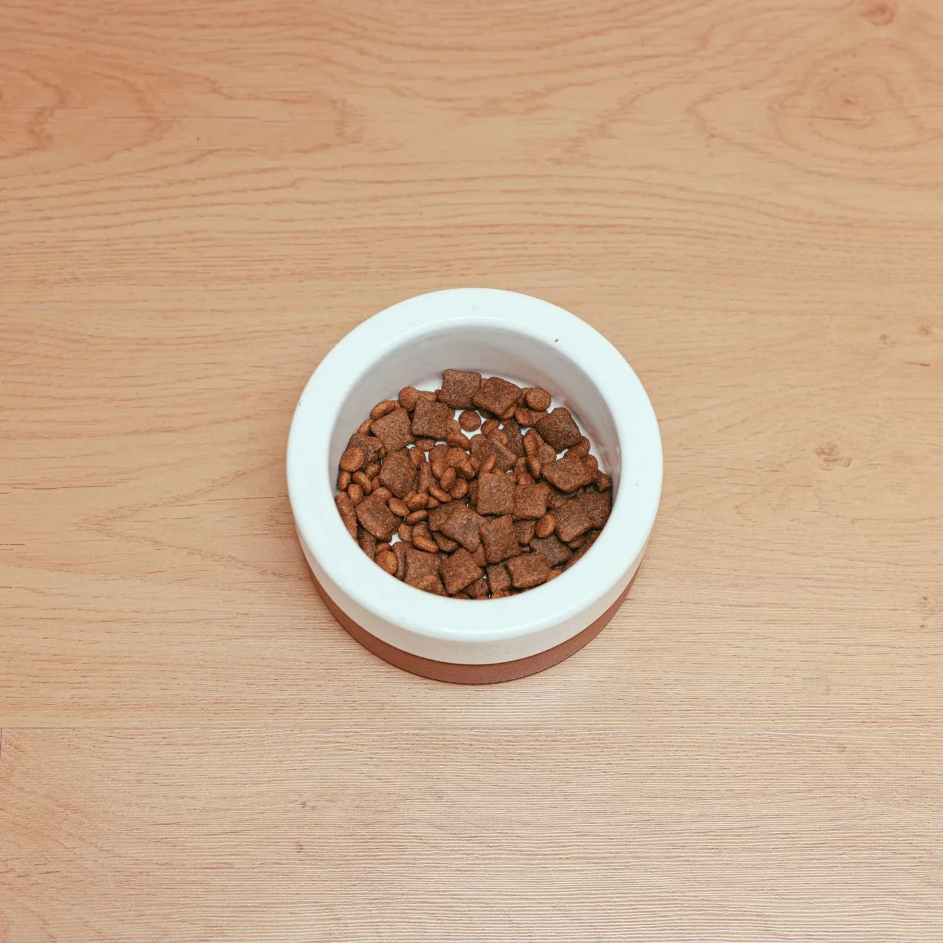 Bowls & treats