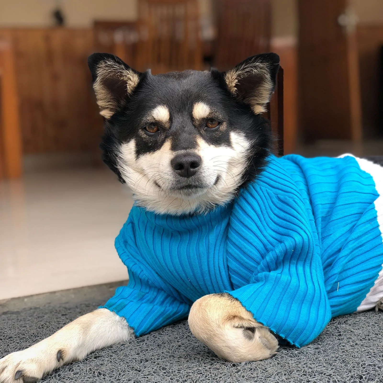 Knitwear