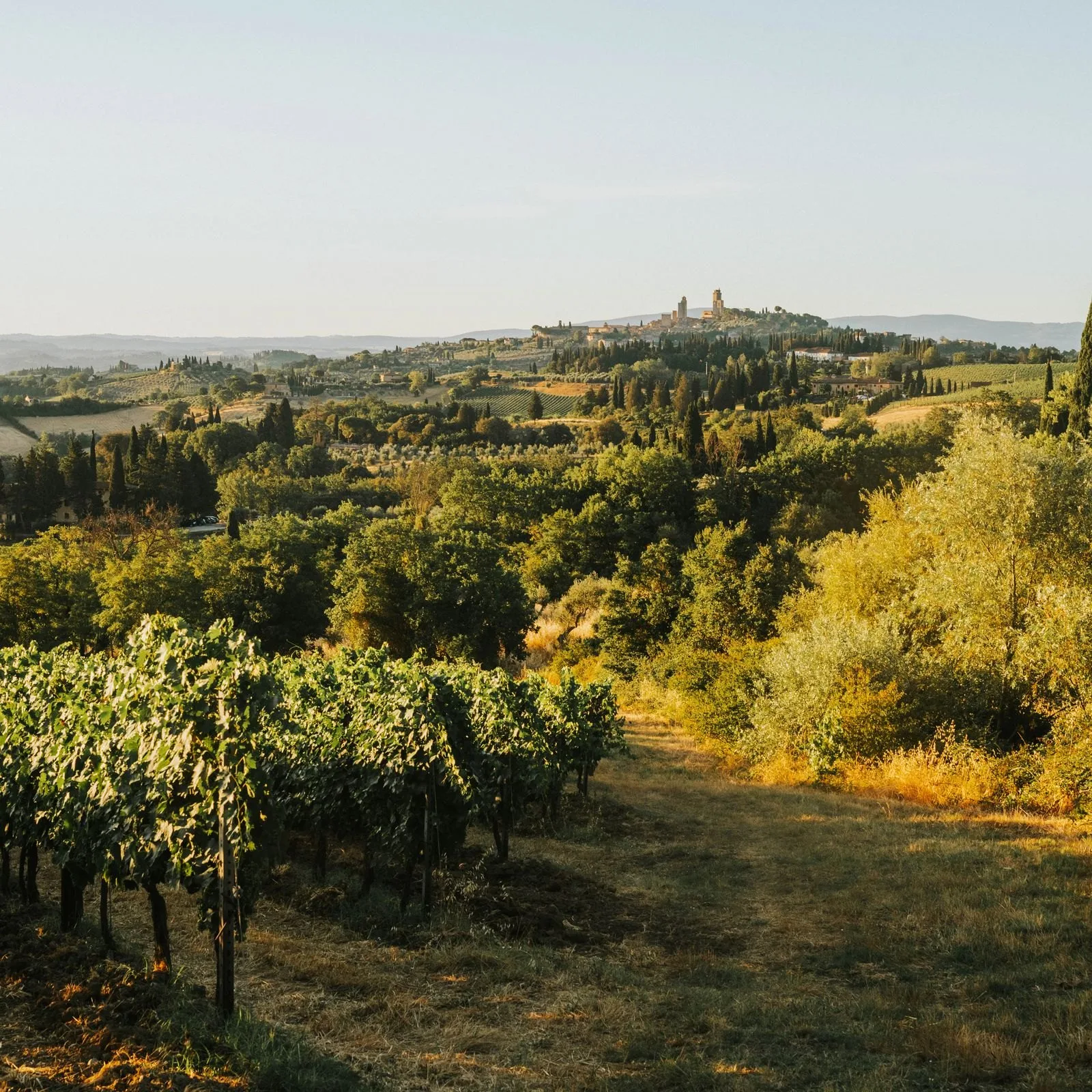 Estate wines