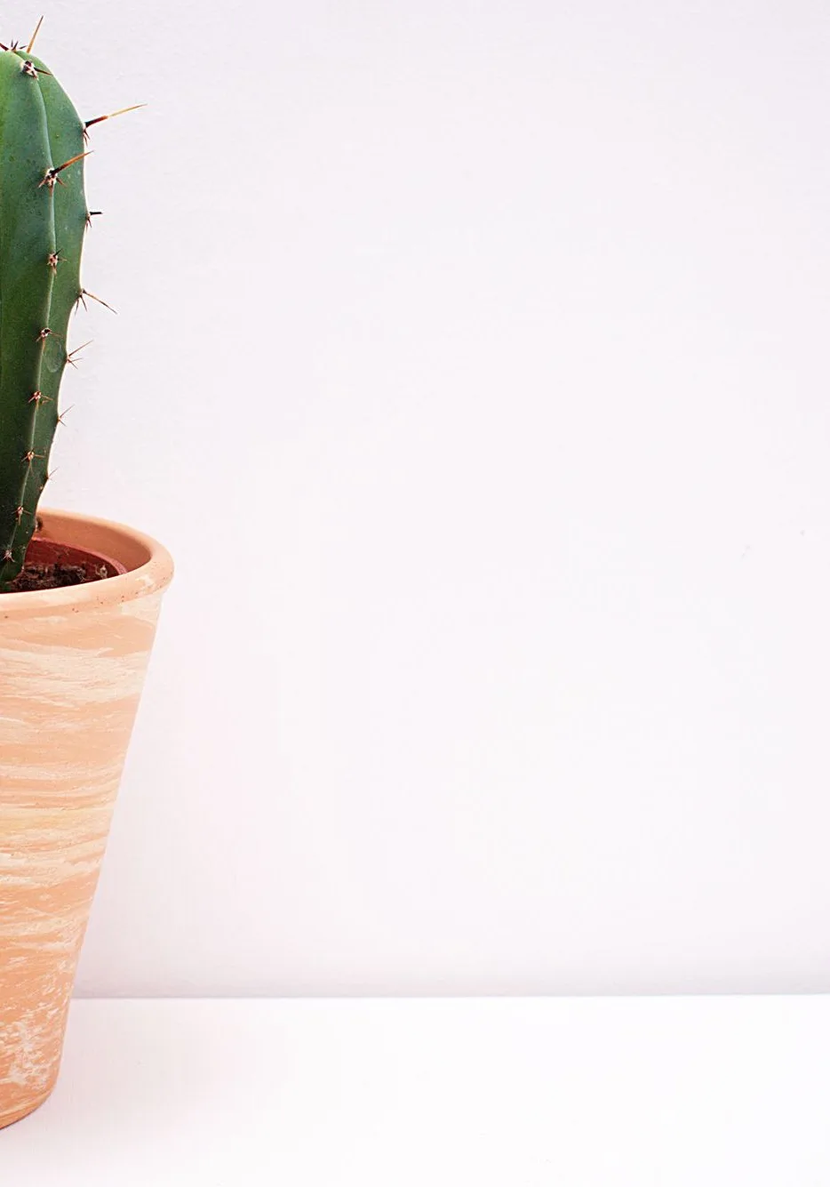 terracotta pot