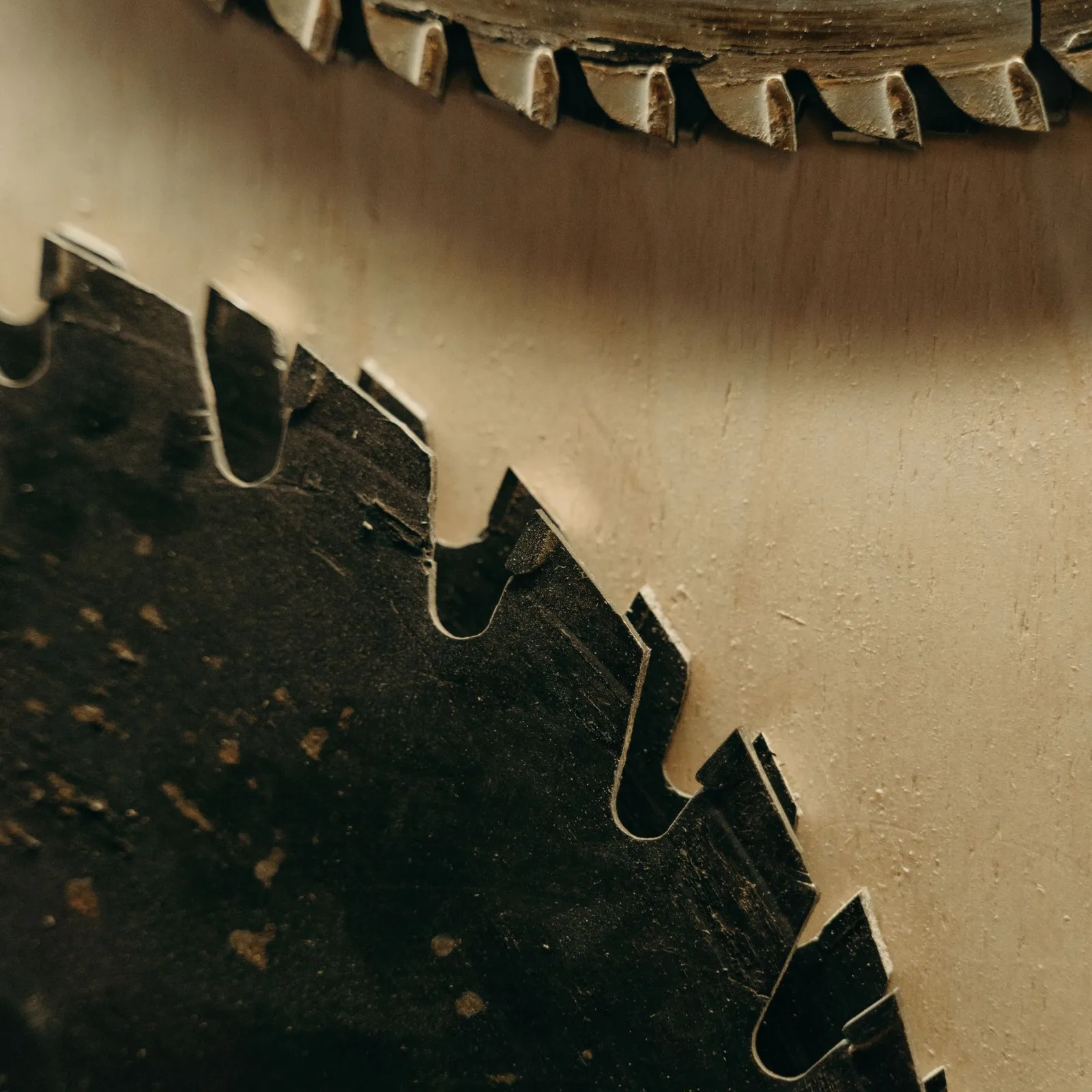 circular saw blade