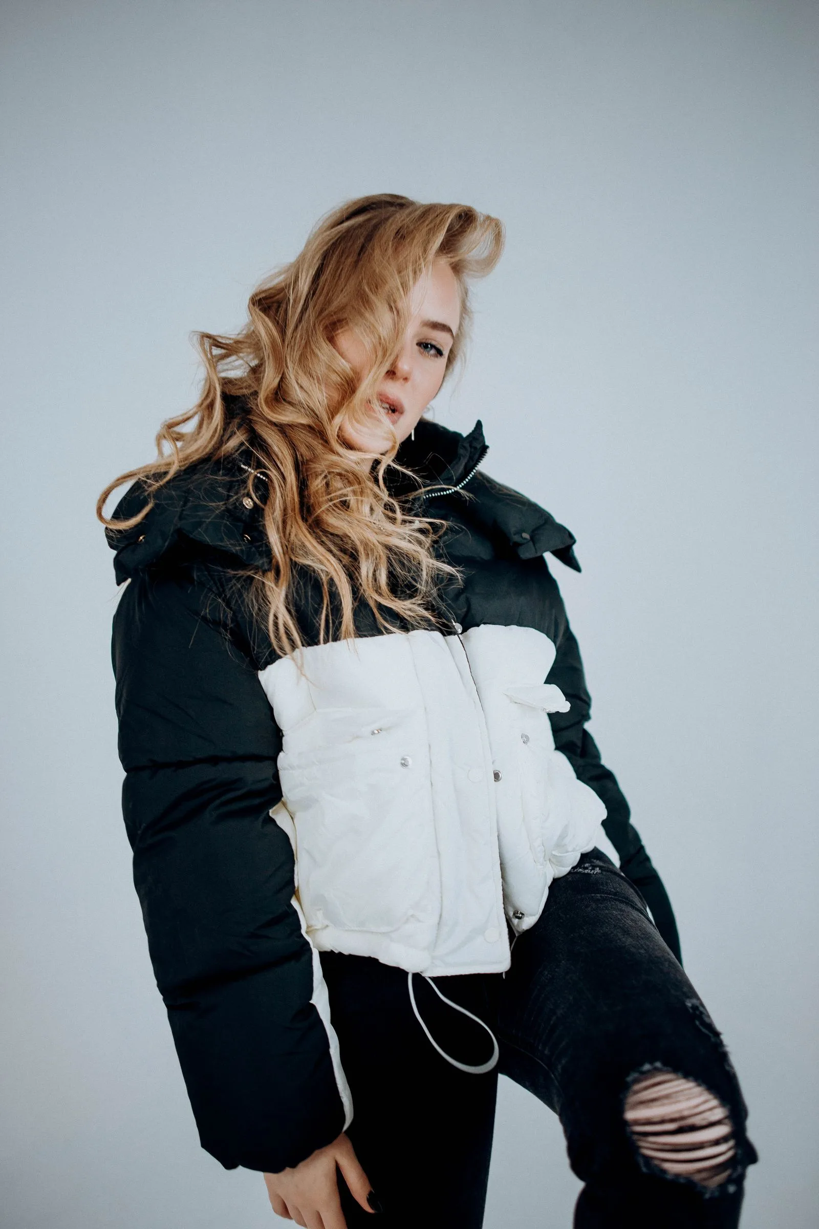 obsidian puffer