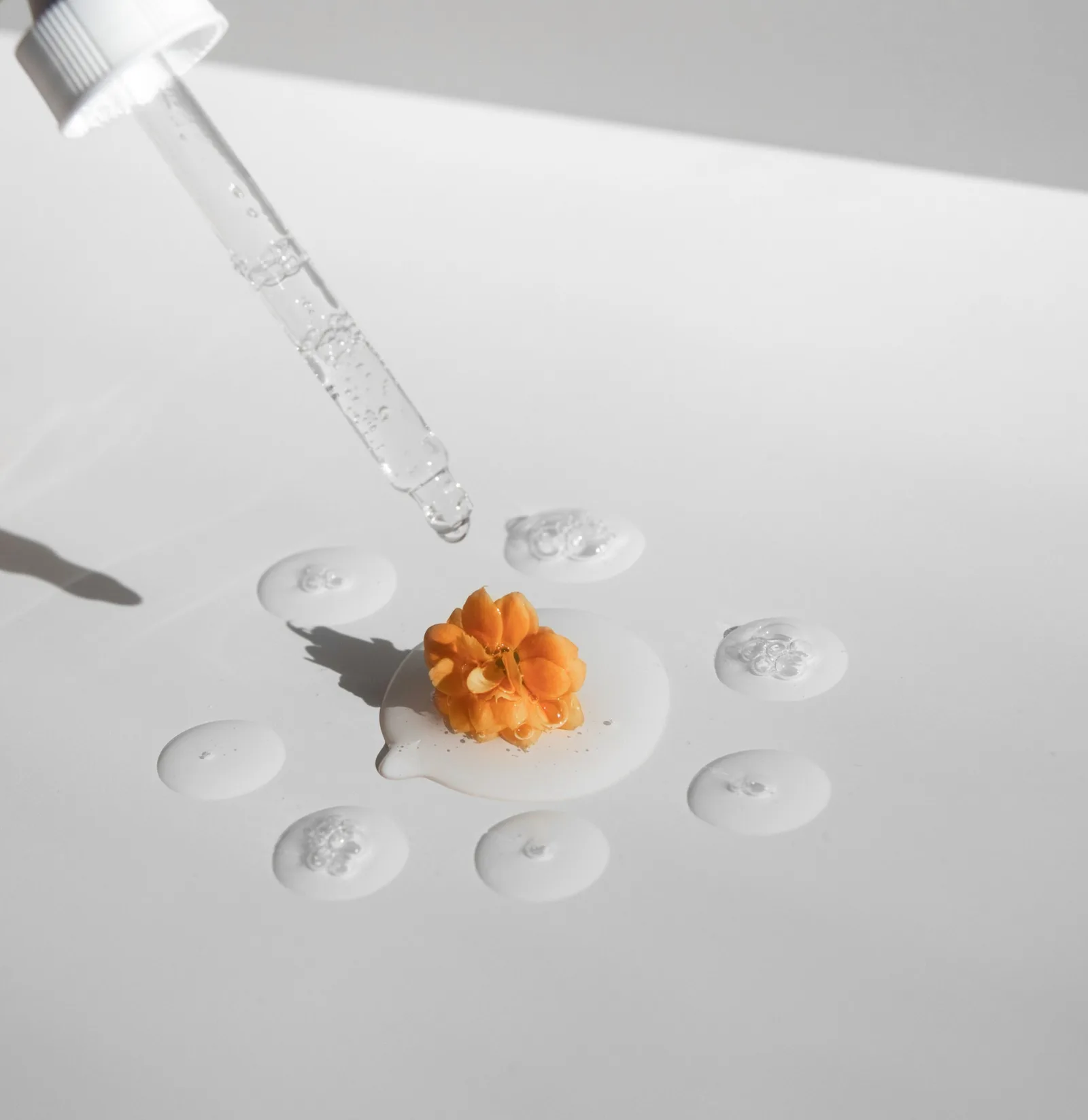 Calendula
