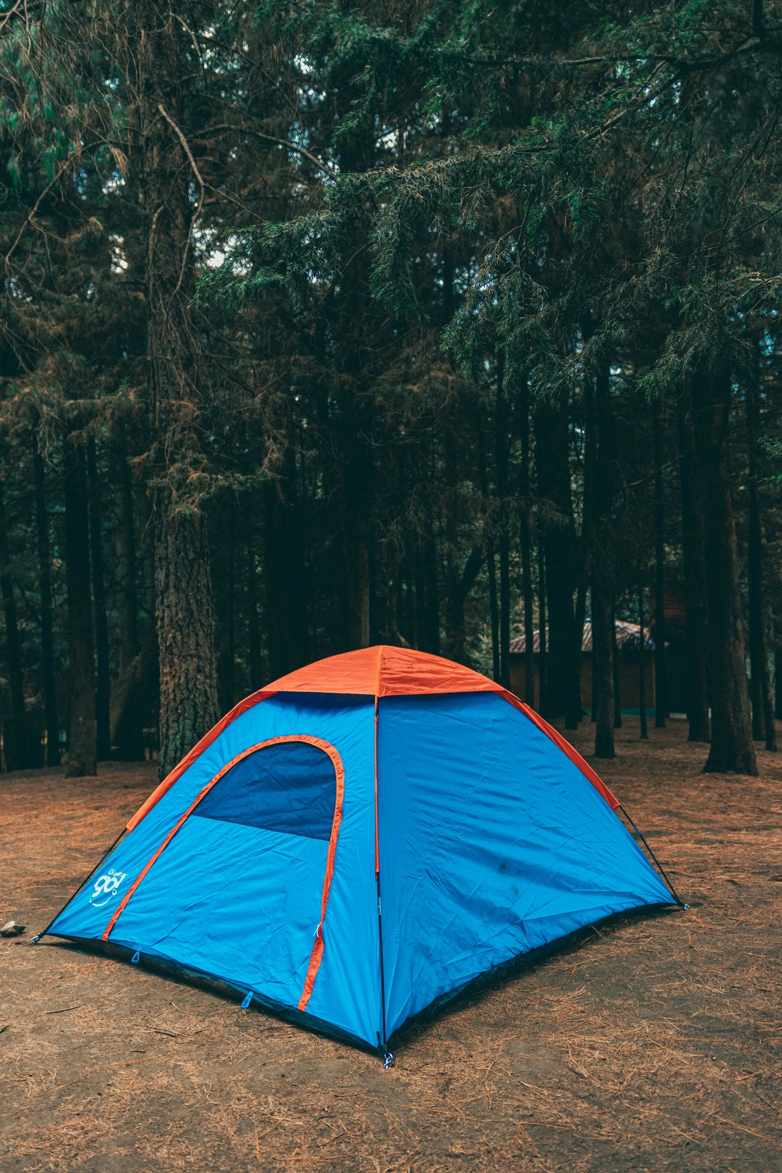 family dome tent