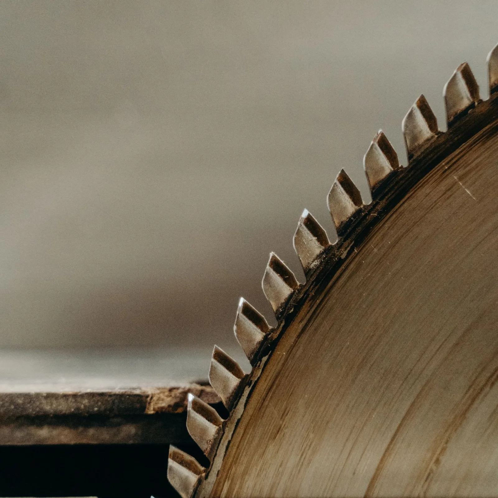 circular saw blade