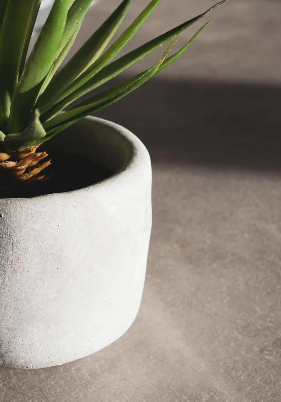 concrete planter