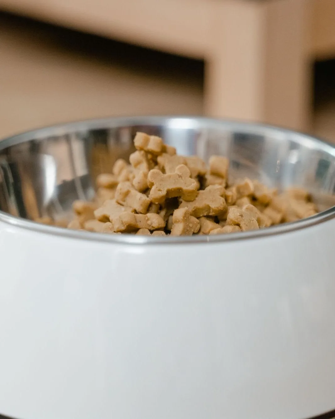 Steel bowl of treats