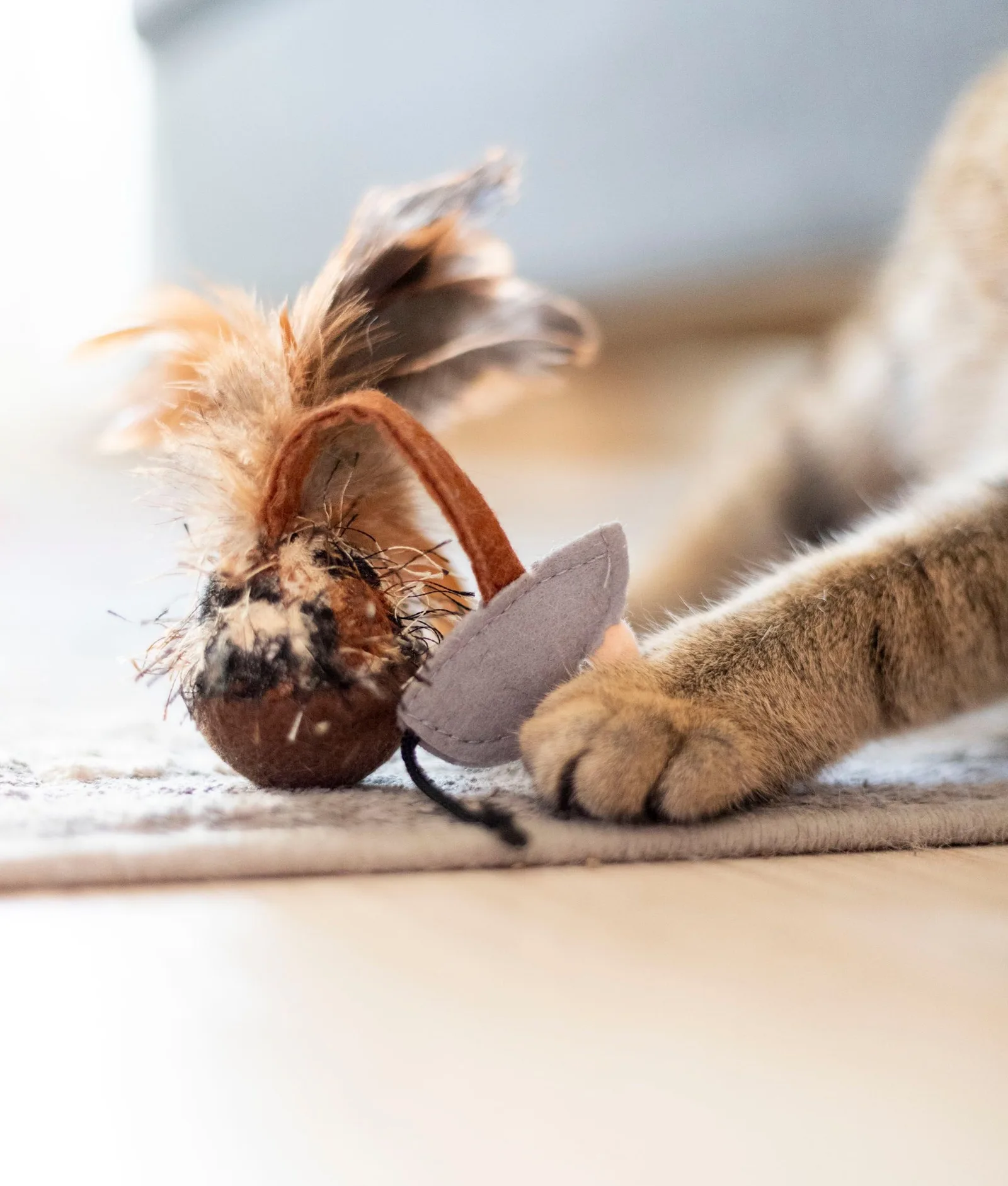 Toys for curious cats
