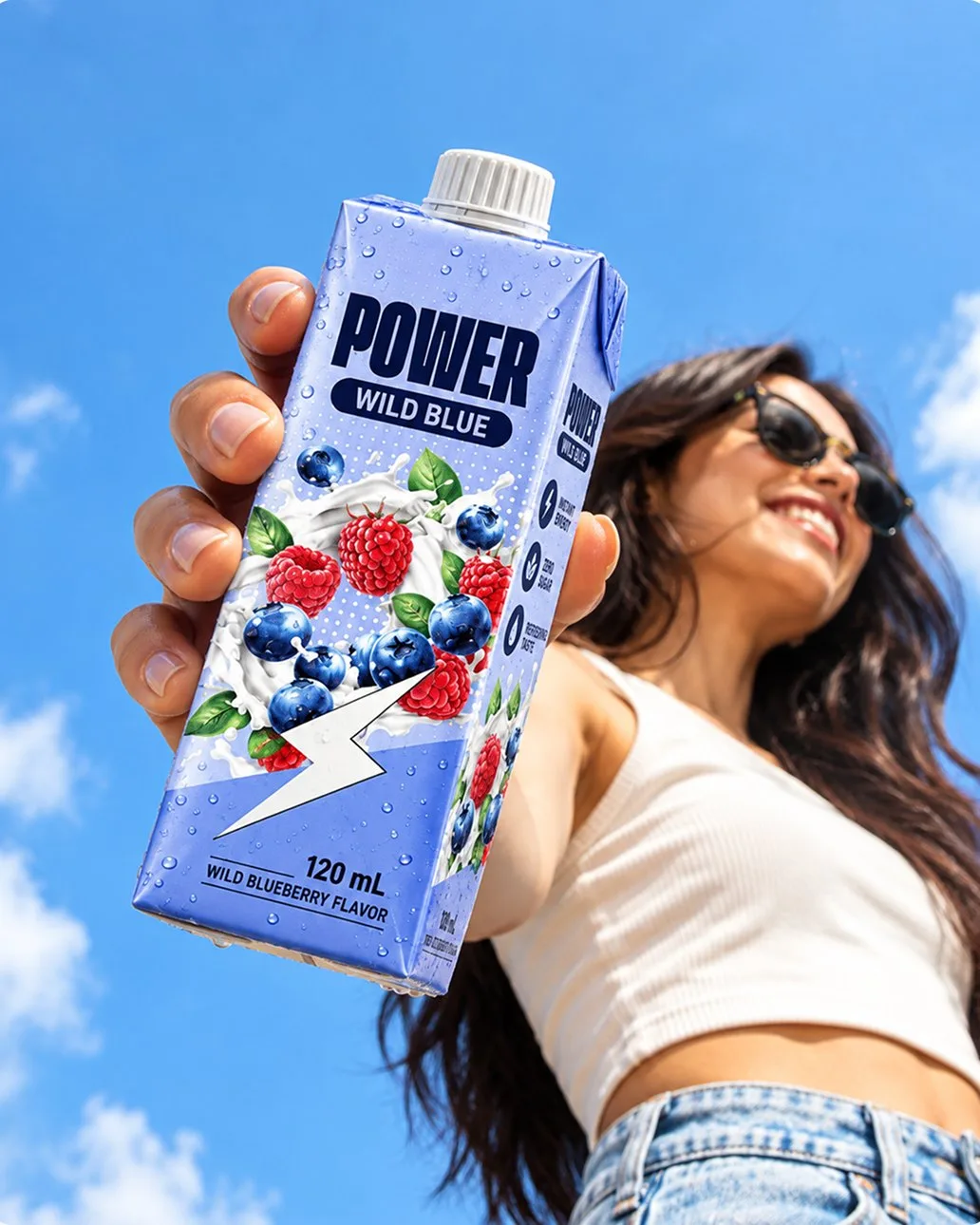 Power Wild Blue Energy Drink – Tetra Pack