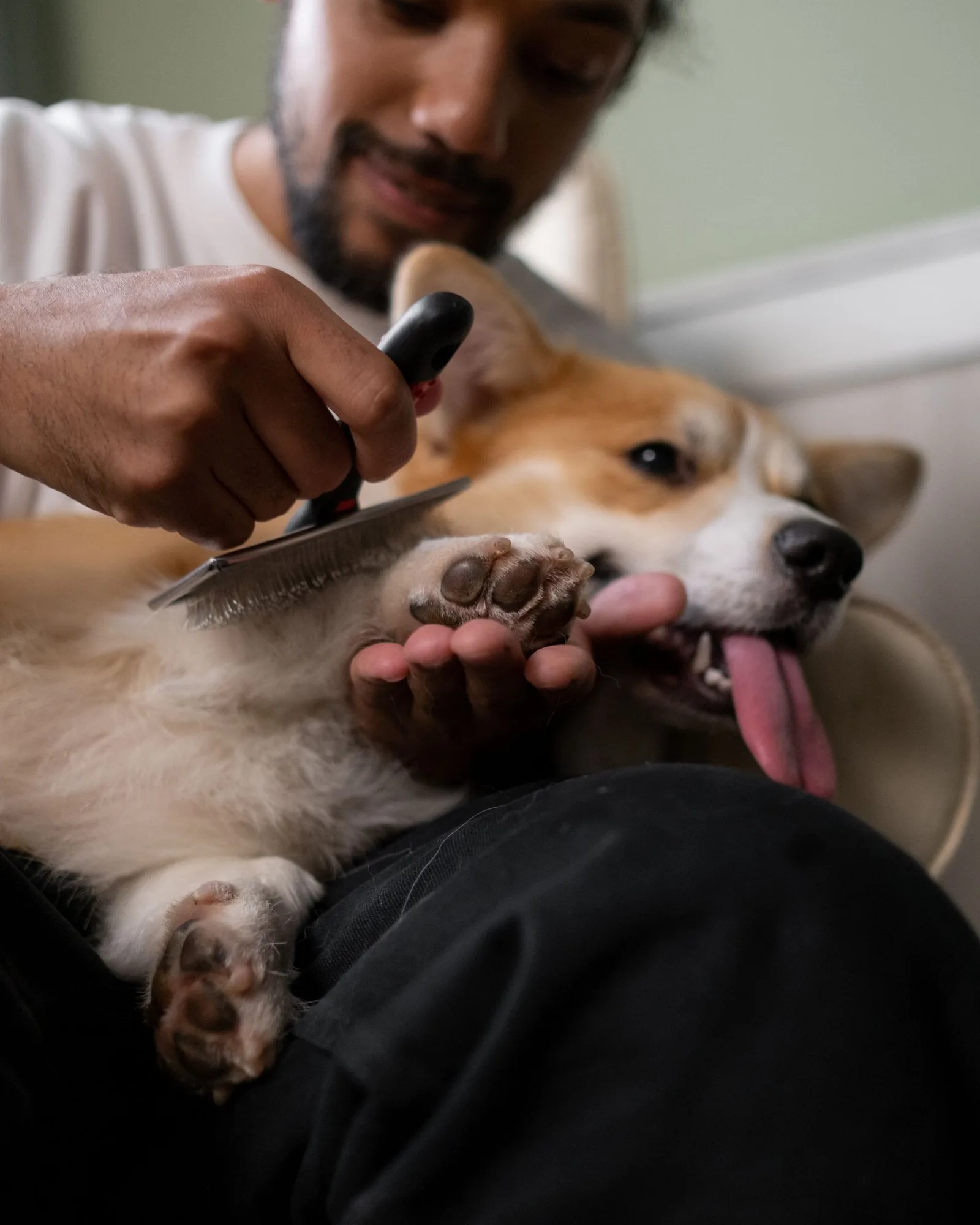 Grooming, refined