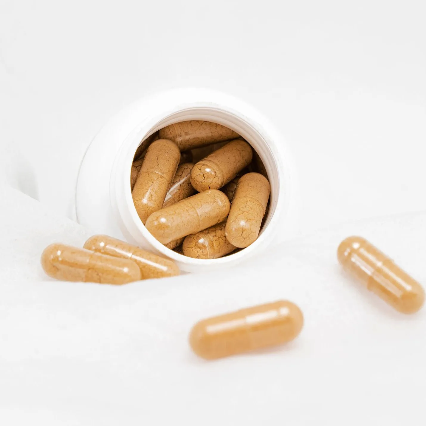 Probiotic 24 Strain