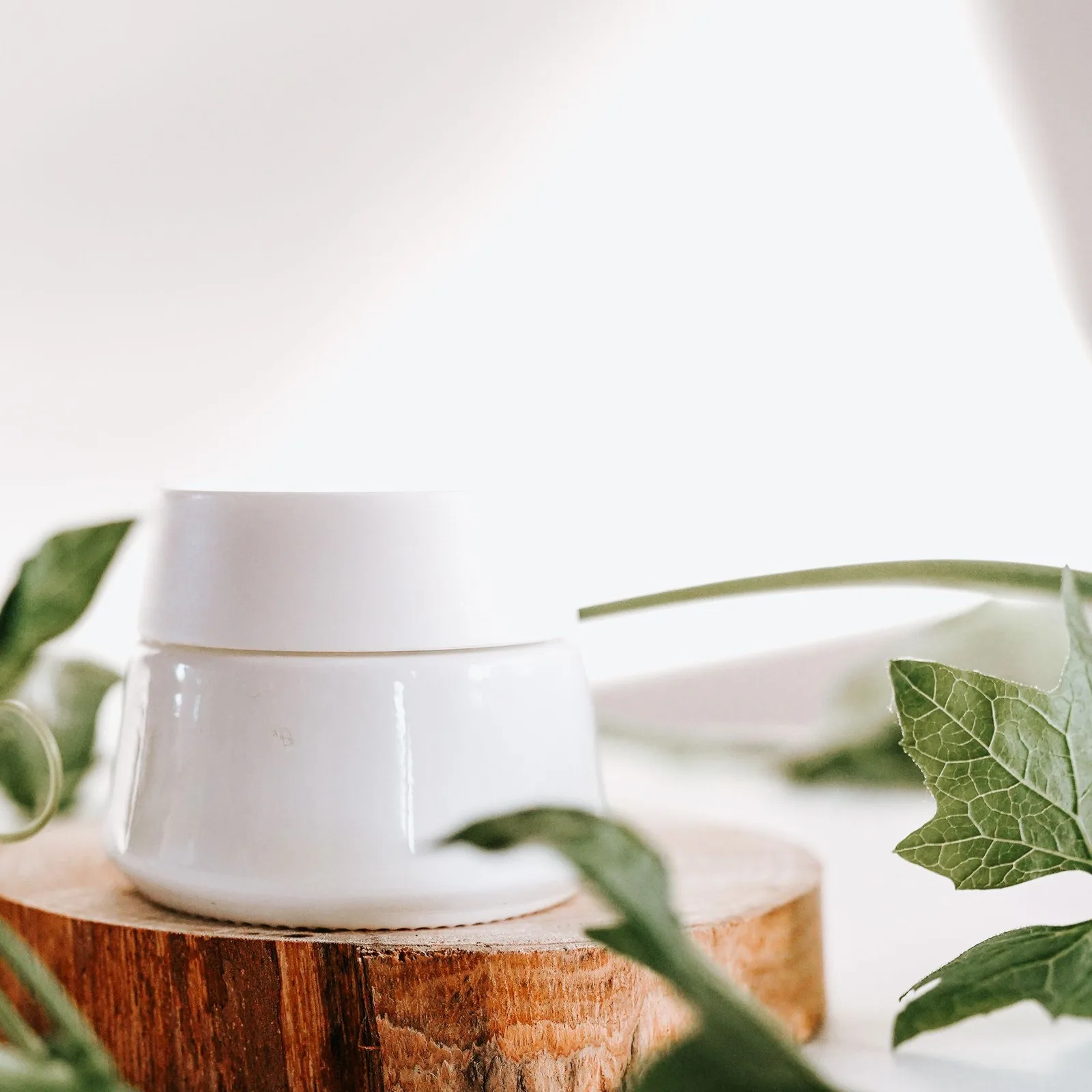green tea moisturiser