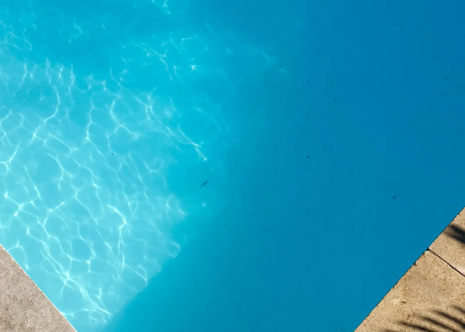 Finding the swimsuit shape that suits you