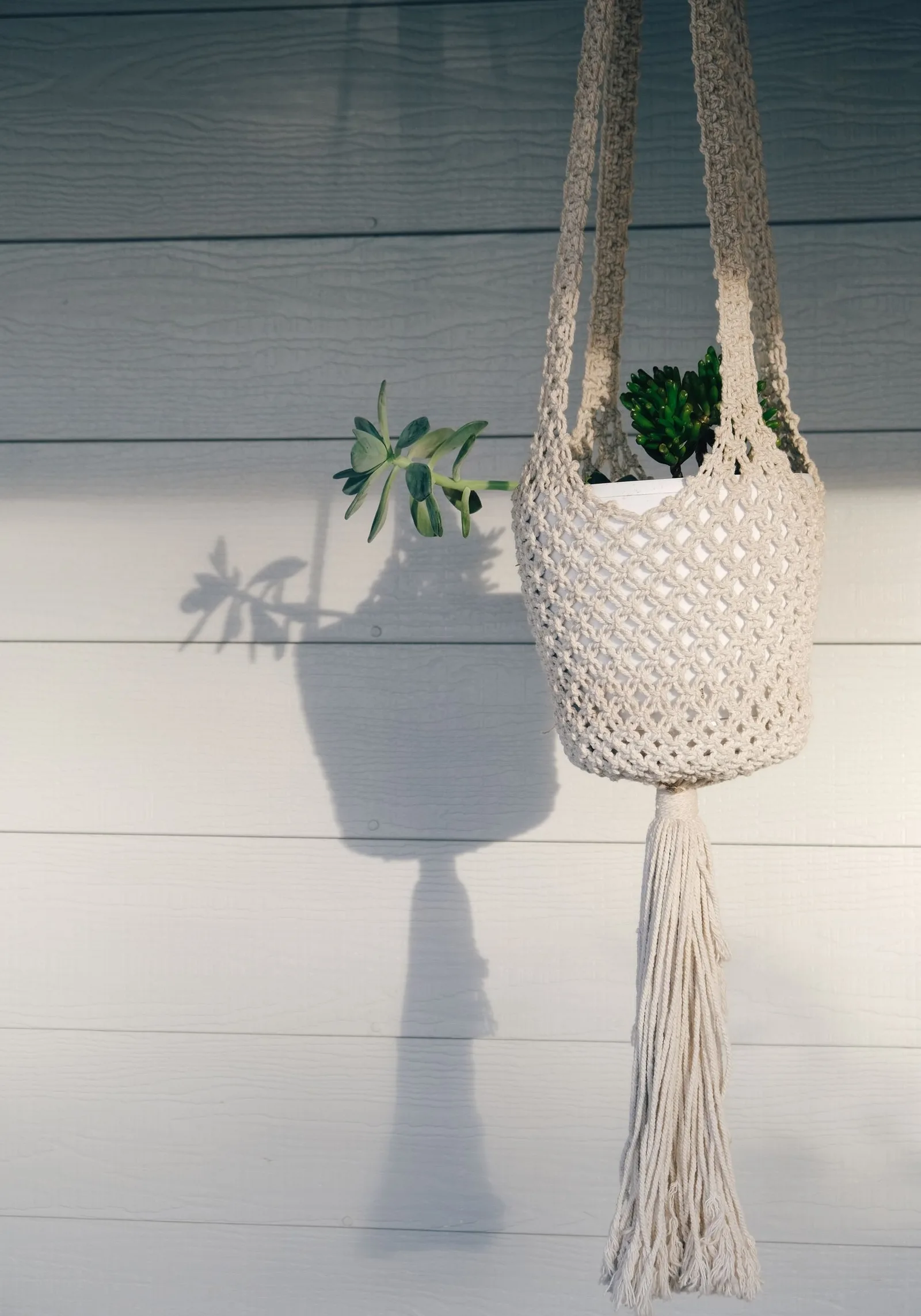 hanging planter