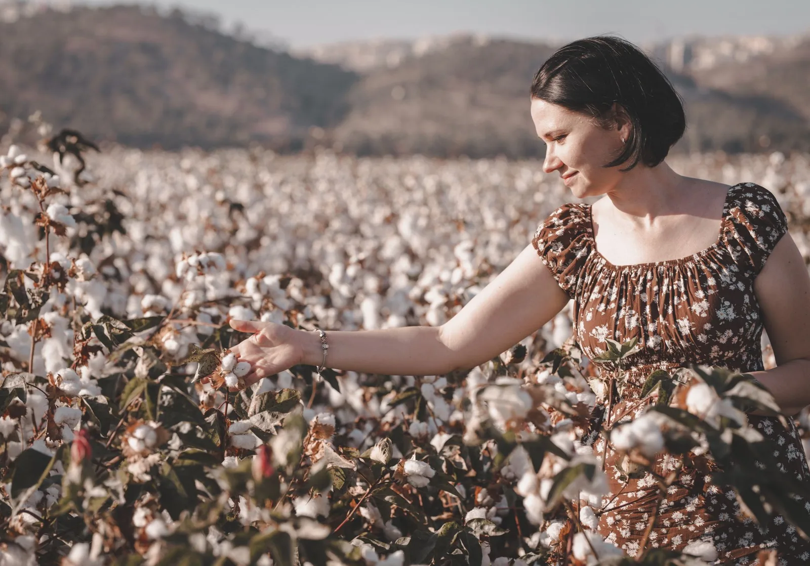 From the cotton field