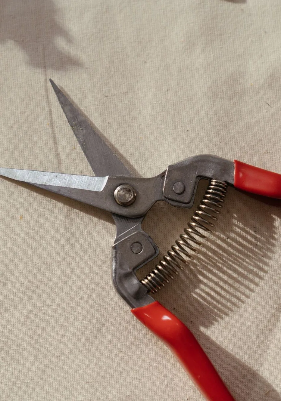 pruning shears