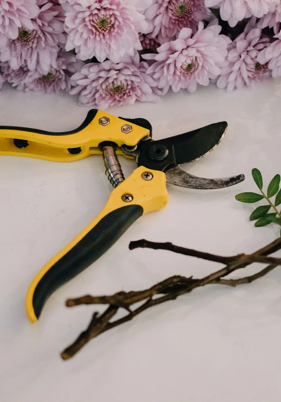 pruning shears