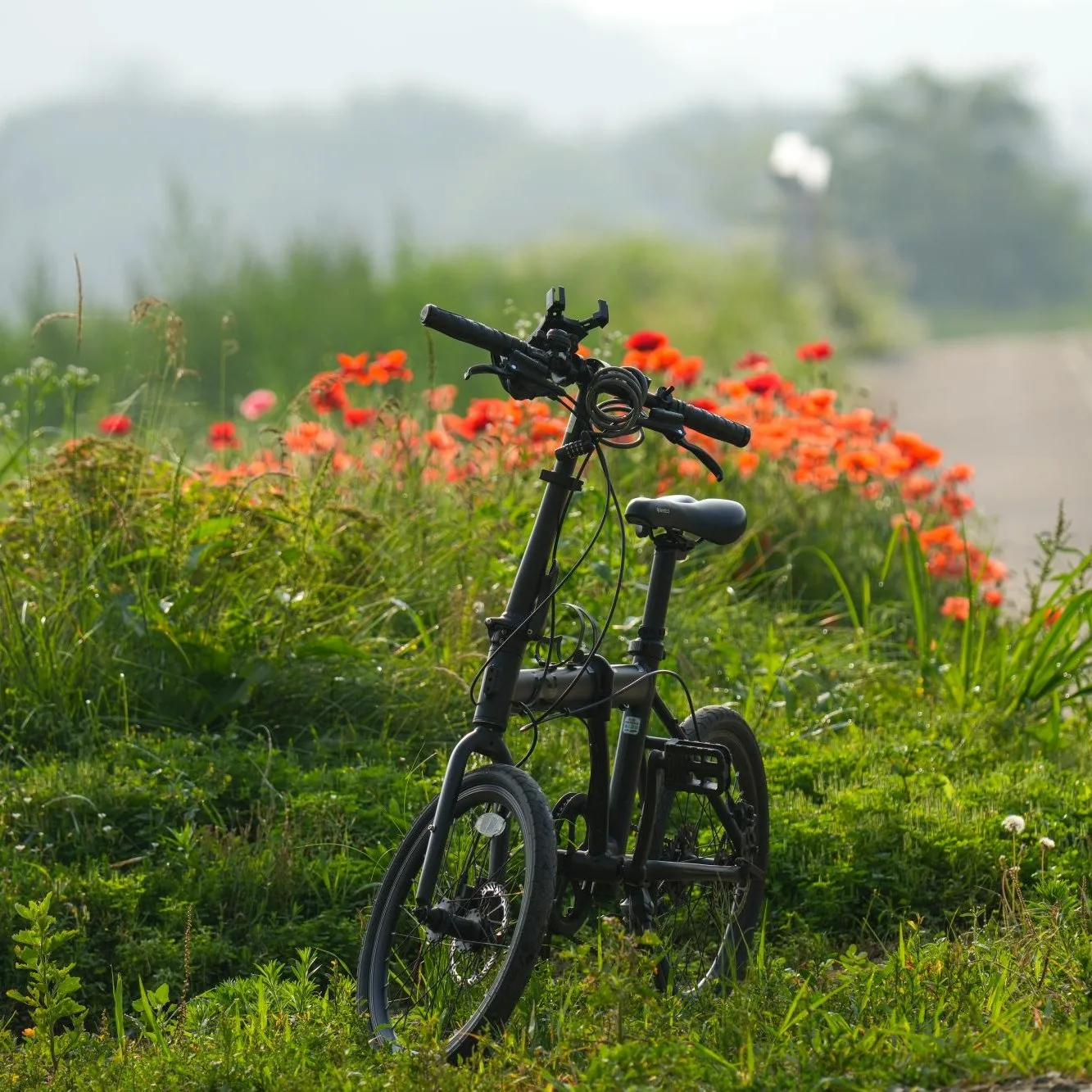 Black folding bike among red flowers