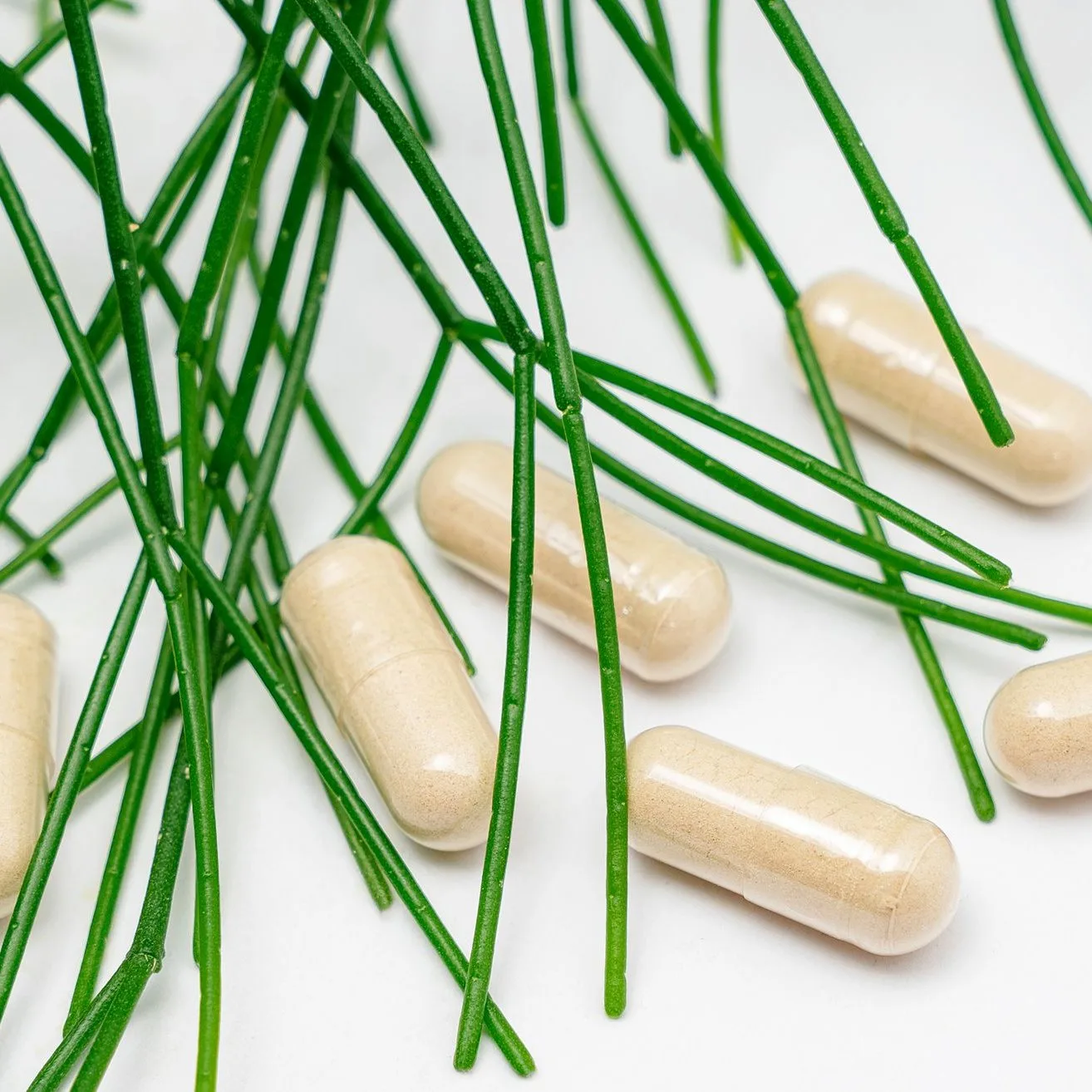 Capsules among green stems