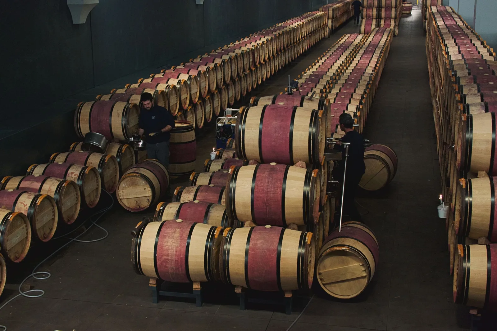 Slow in the cellar